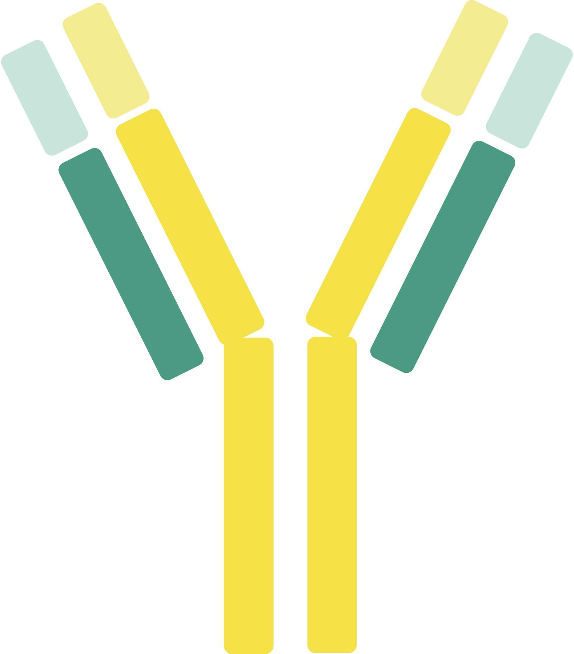 Pet IL-31 Therapeutic Antibodies. (Creative Biolabs Original)