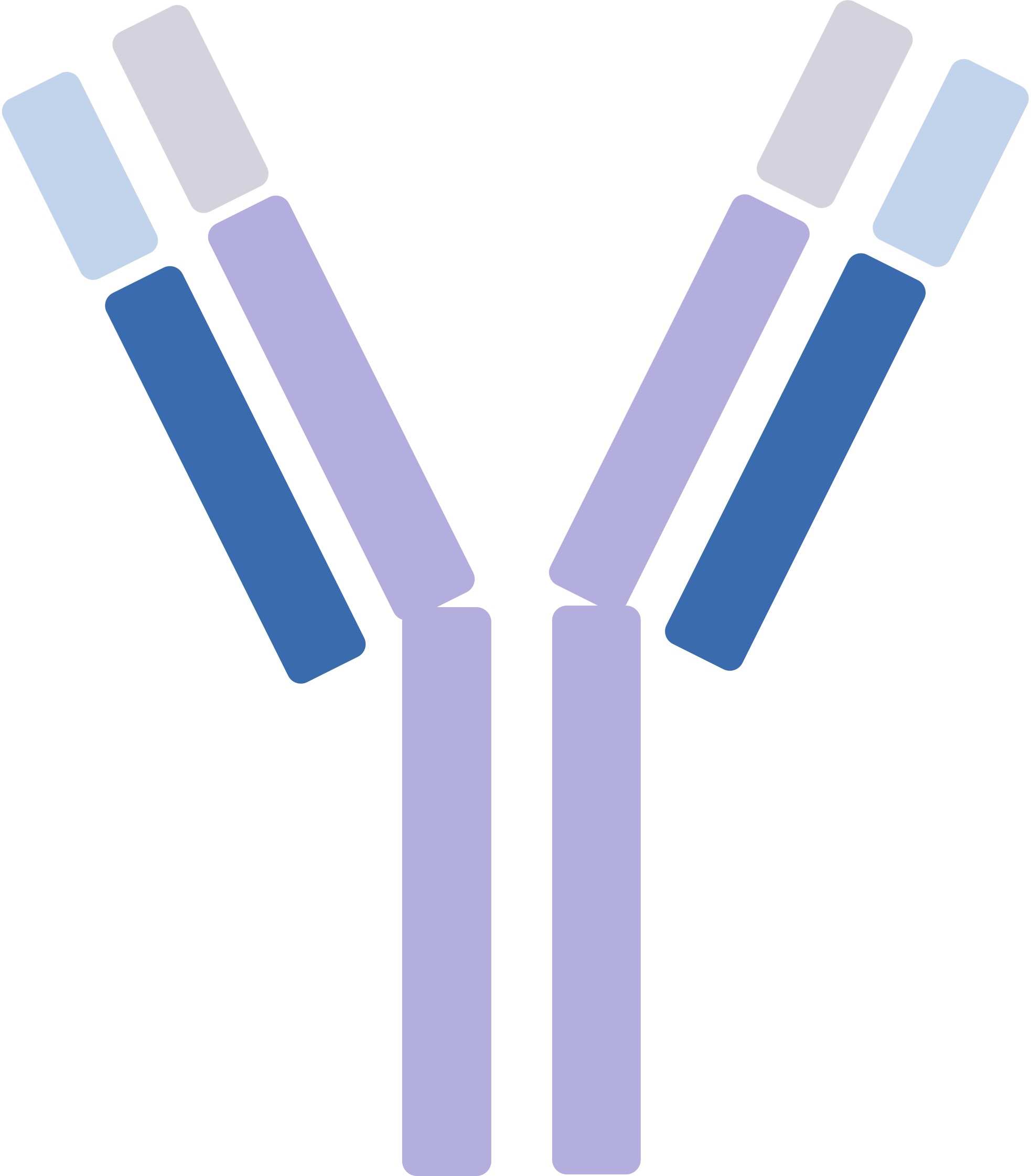 Pet IL-23 Therapeutic Antibodies. (Creative Biolabs Original)