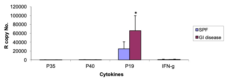 IL‐23p19 mRNA expression levels. (Waly, et al., 2025) (OA Literature)