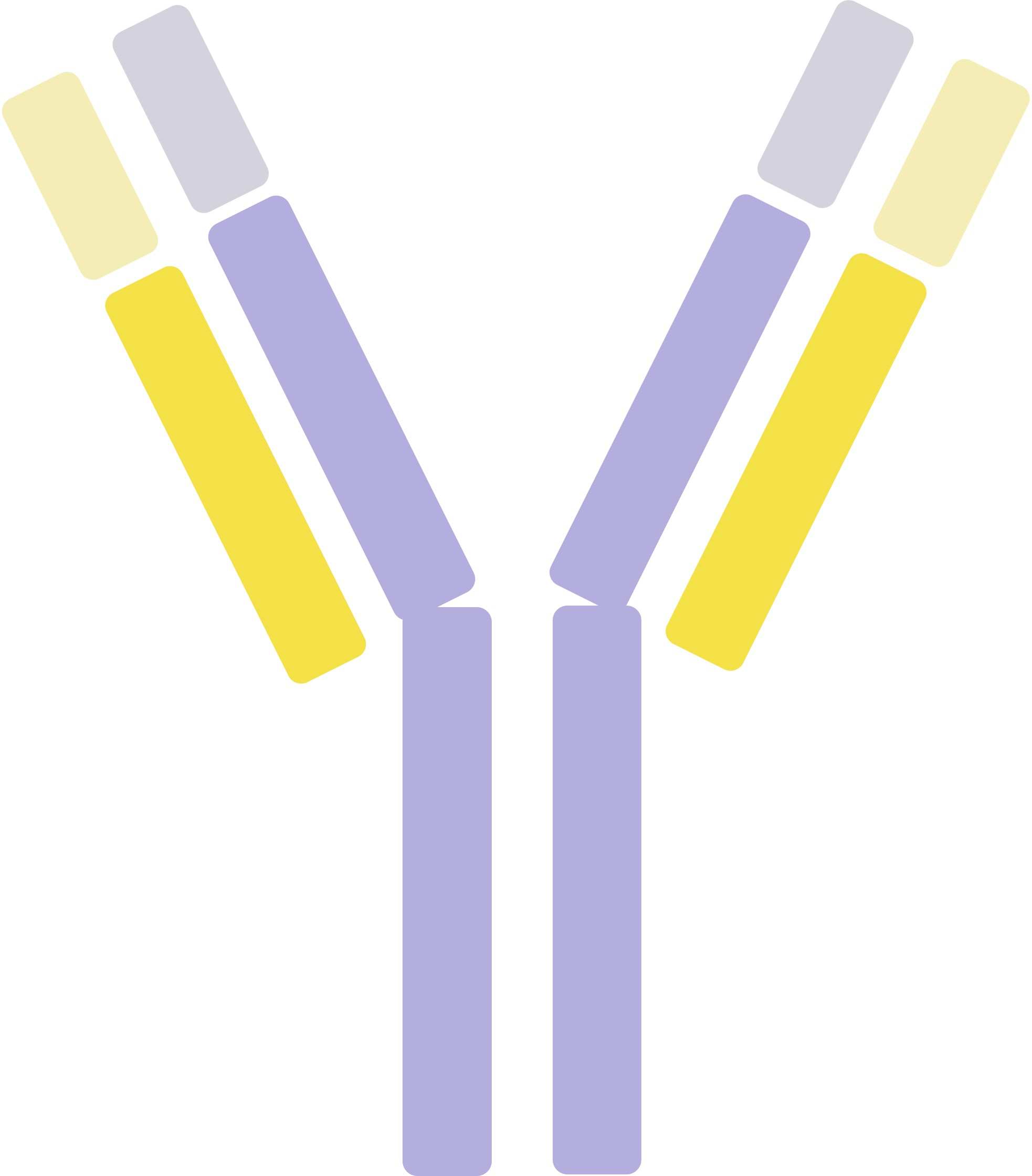 Pet IL-17 Therapeutic Antibodies. (Creative Biolabs Original)