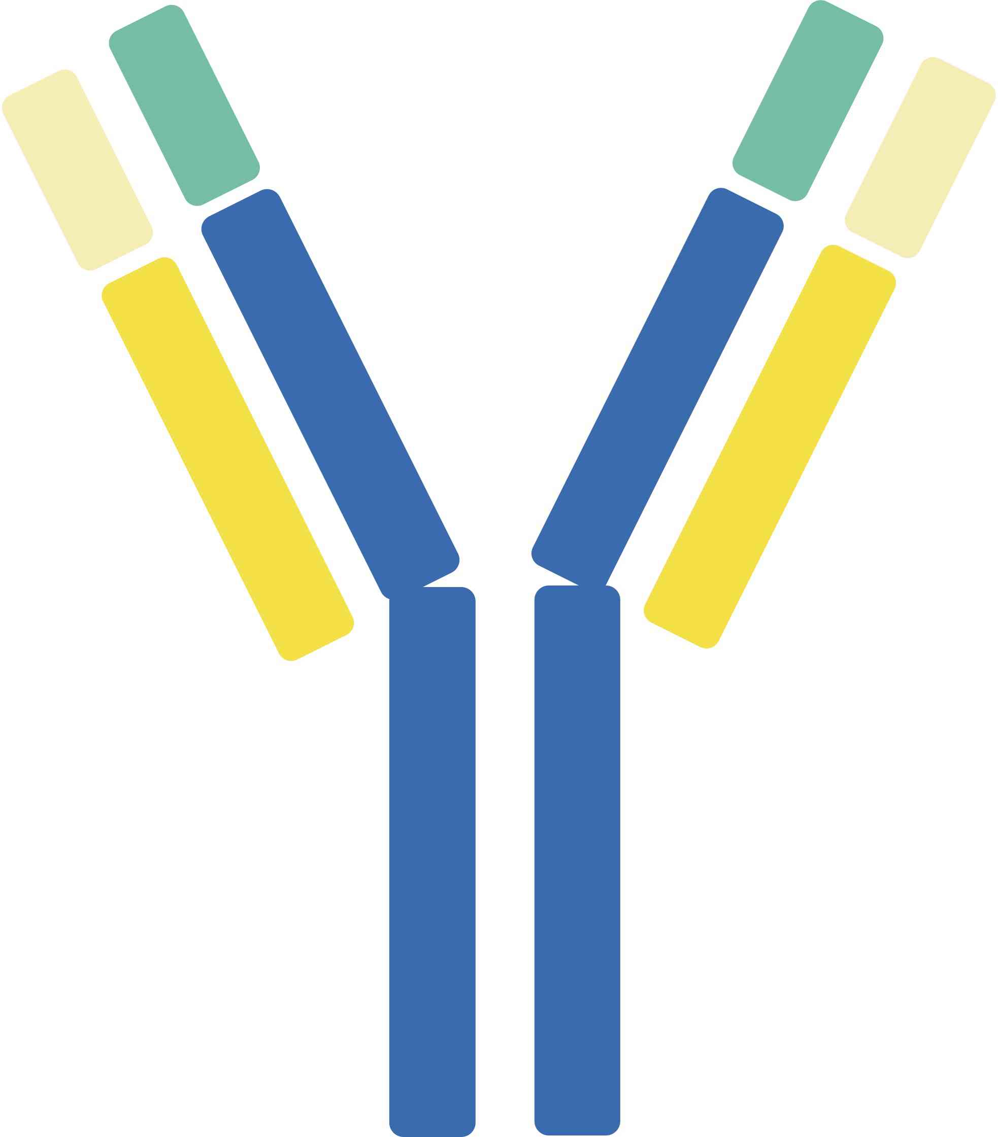 Pet IL-13 Therapeutic Antibodies. (Creative Biolabs Original)