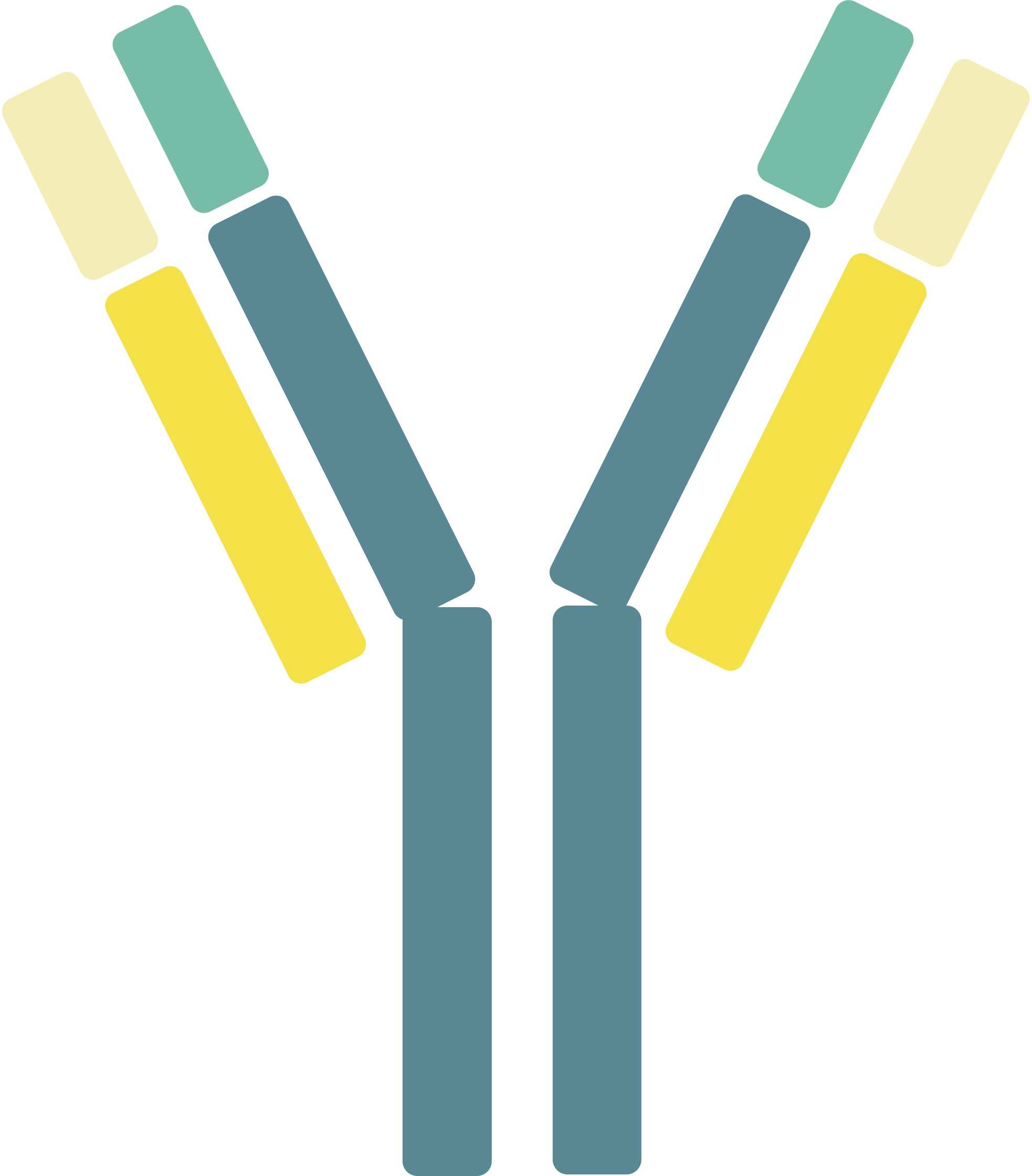 Pet IL-10 Therapeutic Antibodies. (Creative Biolabs Original)