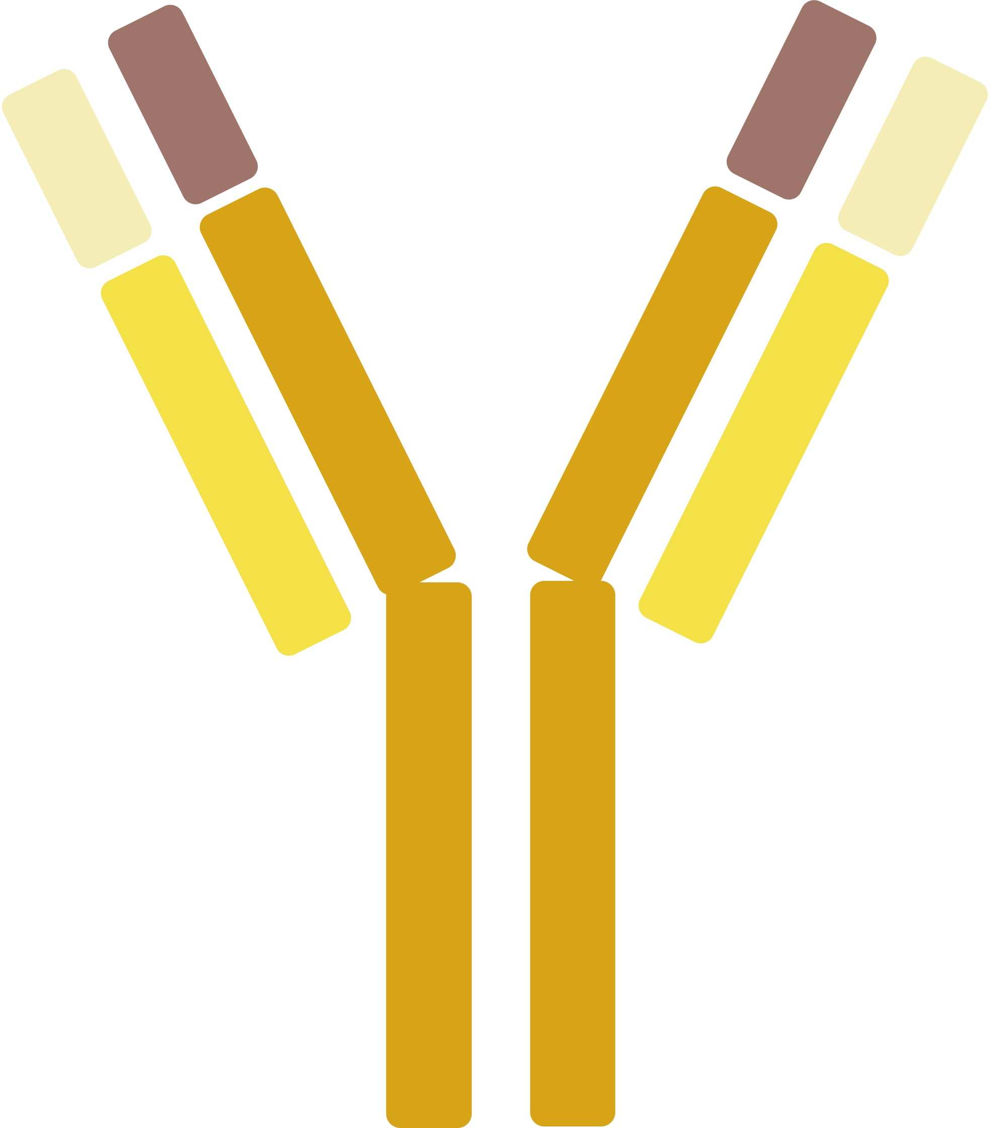 Pet IFN-γ Therapeutic Antibodies. (Creative Biolabs Original)