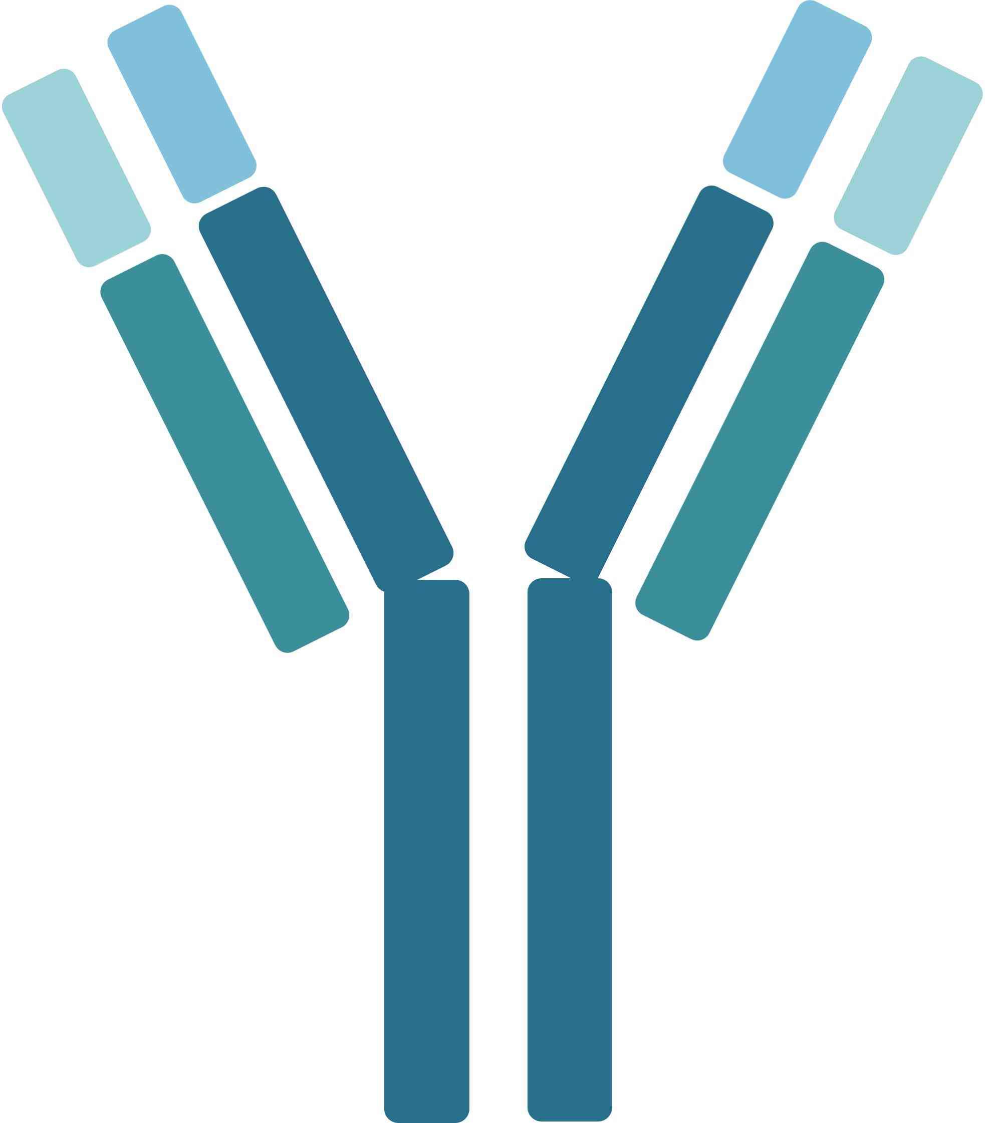 Pet GM-CSF Therapeutic Antibodies. (Creative Biolabs Original)