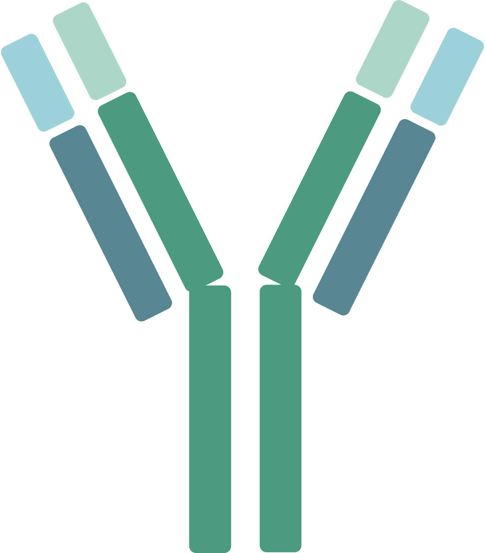 Pet CXCR4 Therapeutic Antibodies. (Creative Biolabs Original)