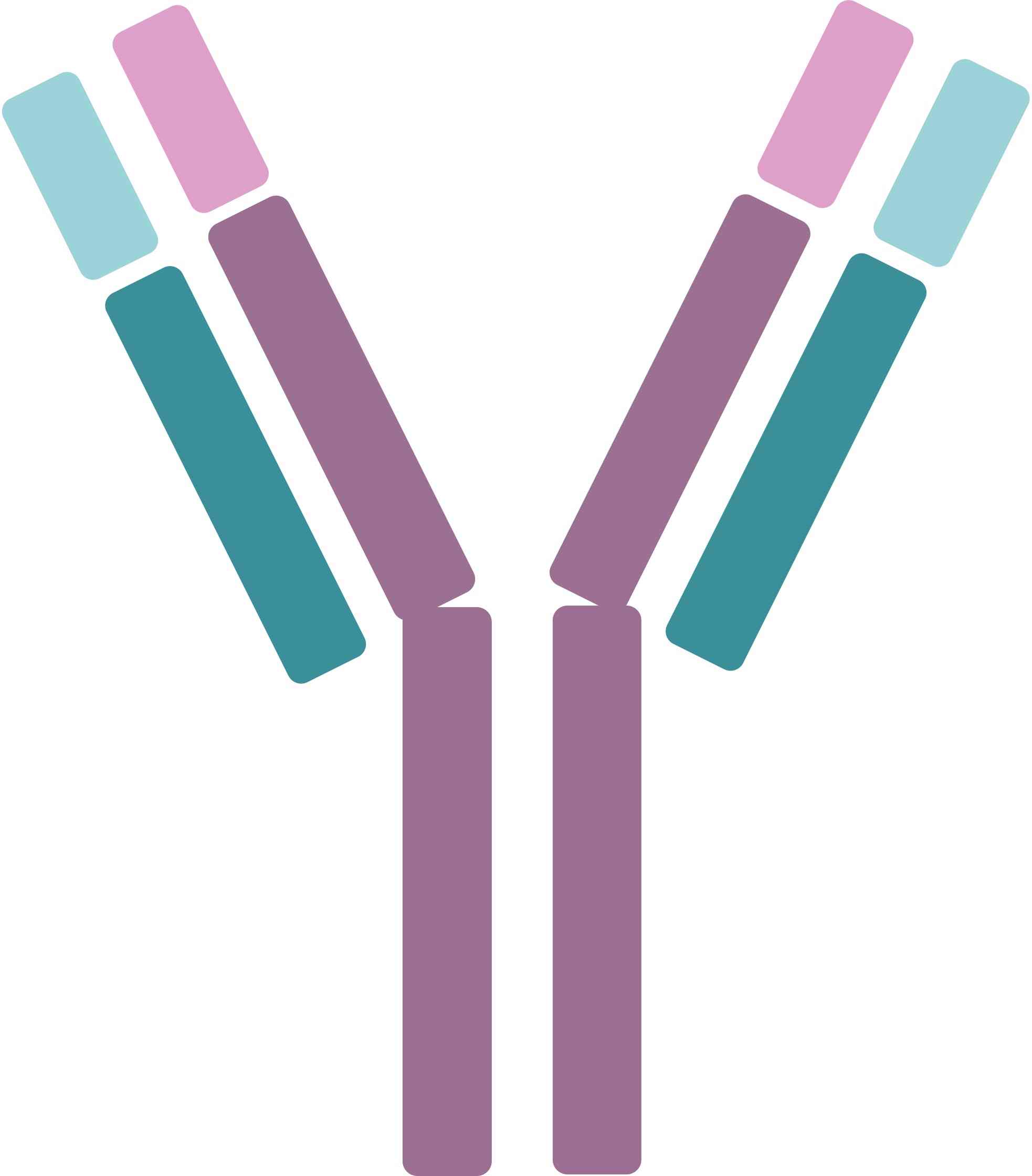 Pet CTLA-4 Therapeutic Antibodies. (Creative Biolabs Original)
