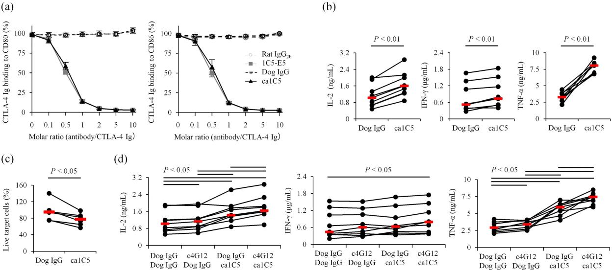 Caninized anti-CTLA-4 monoclonal antibody characterization. (Maekawa , et al., 2025) (OA Literature)