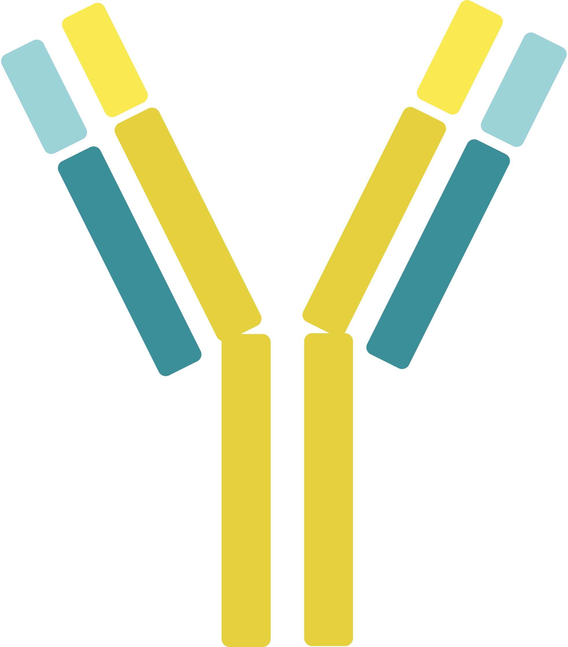 Pet CD52 Therapeutic Antibodies. (Creative Biolabs Original)