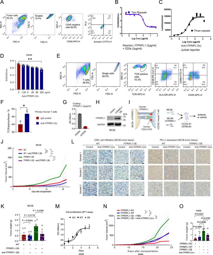 Anti-ITPRIPL1(h) antibody *[in vivo]{.mark}* evaluation. (Deng , et al., 2024) (OA Literature)