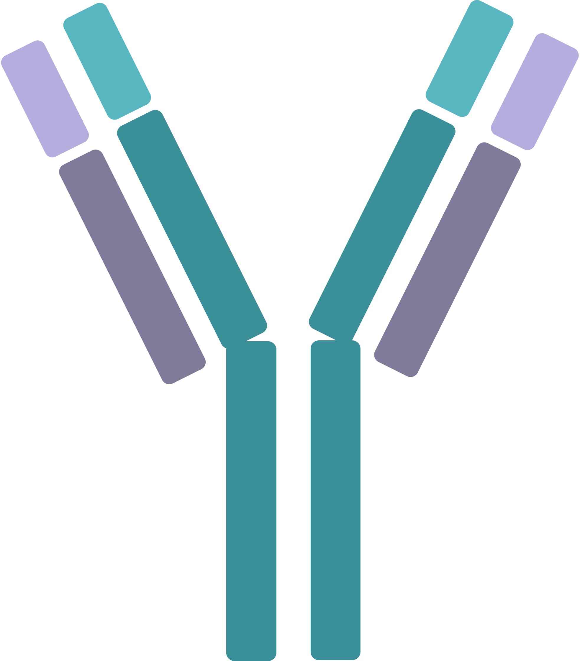 Pet CD33 Therapeutic Antibodies. (Creative Biolabs Original)