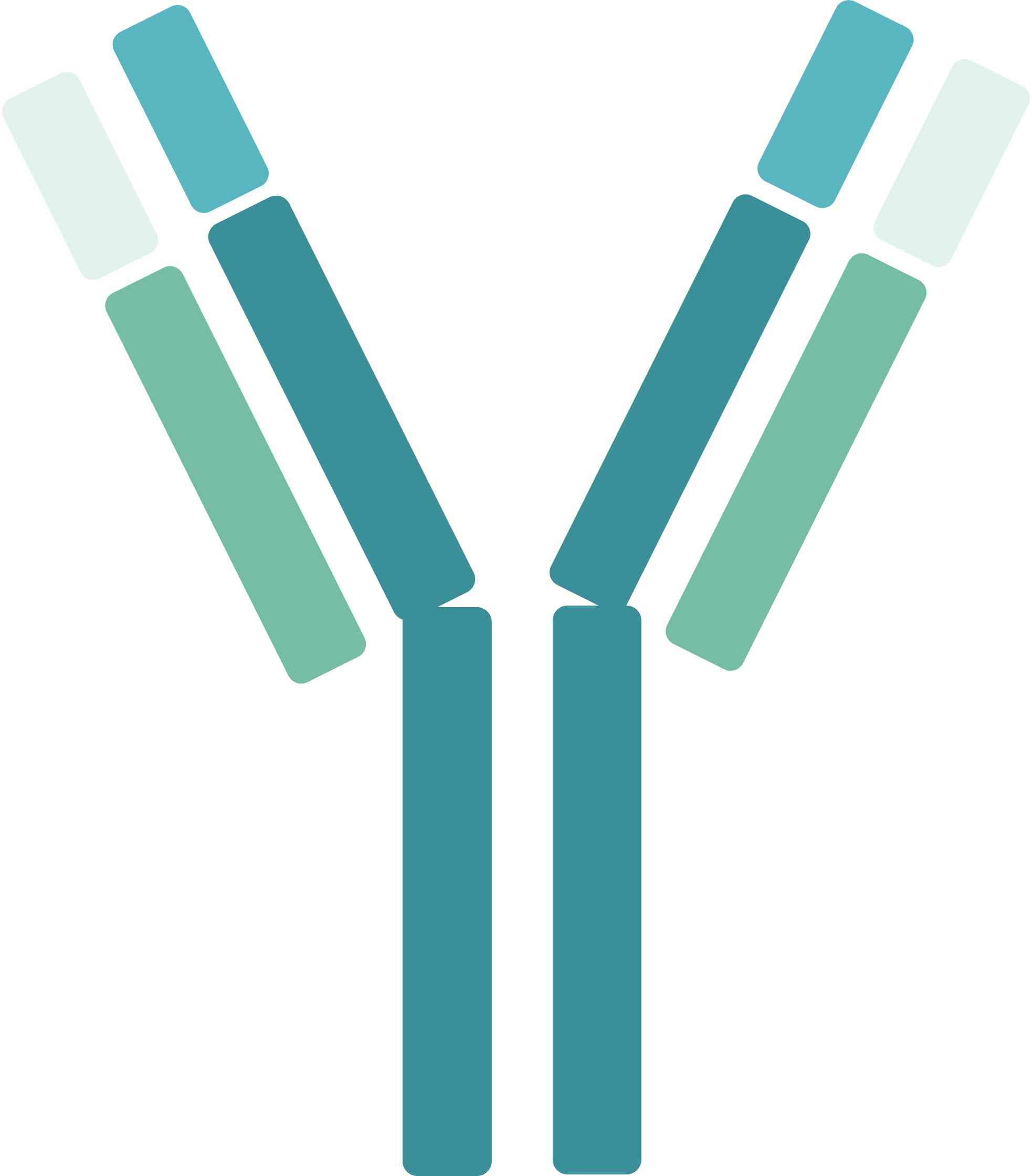 Pet CD276 Therapeutic Antibodies. (Creative Biolabs Original)