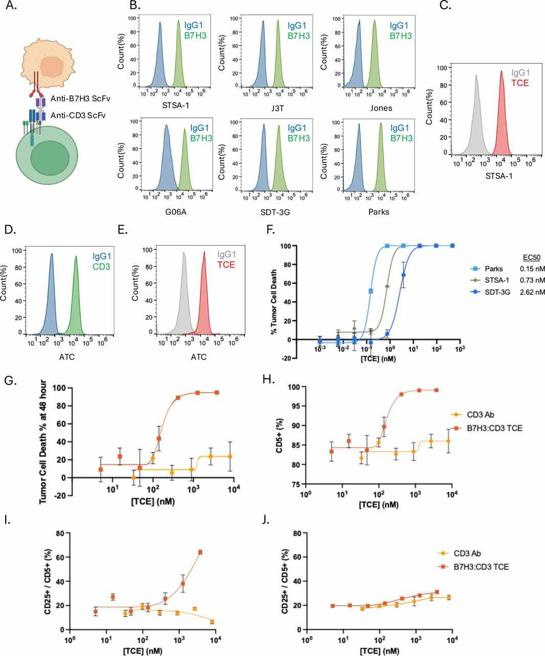 P Molecular Characterization and Antigen-Dependent Activation. (Suita , et al., 2026) (OA Literature)