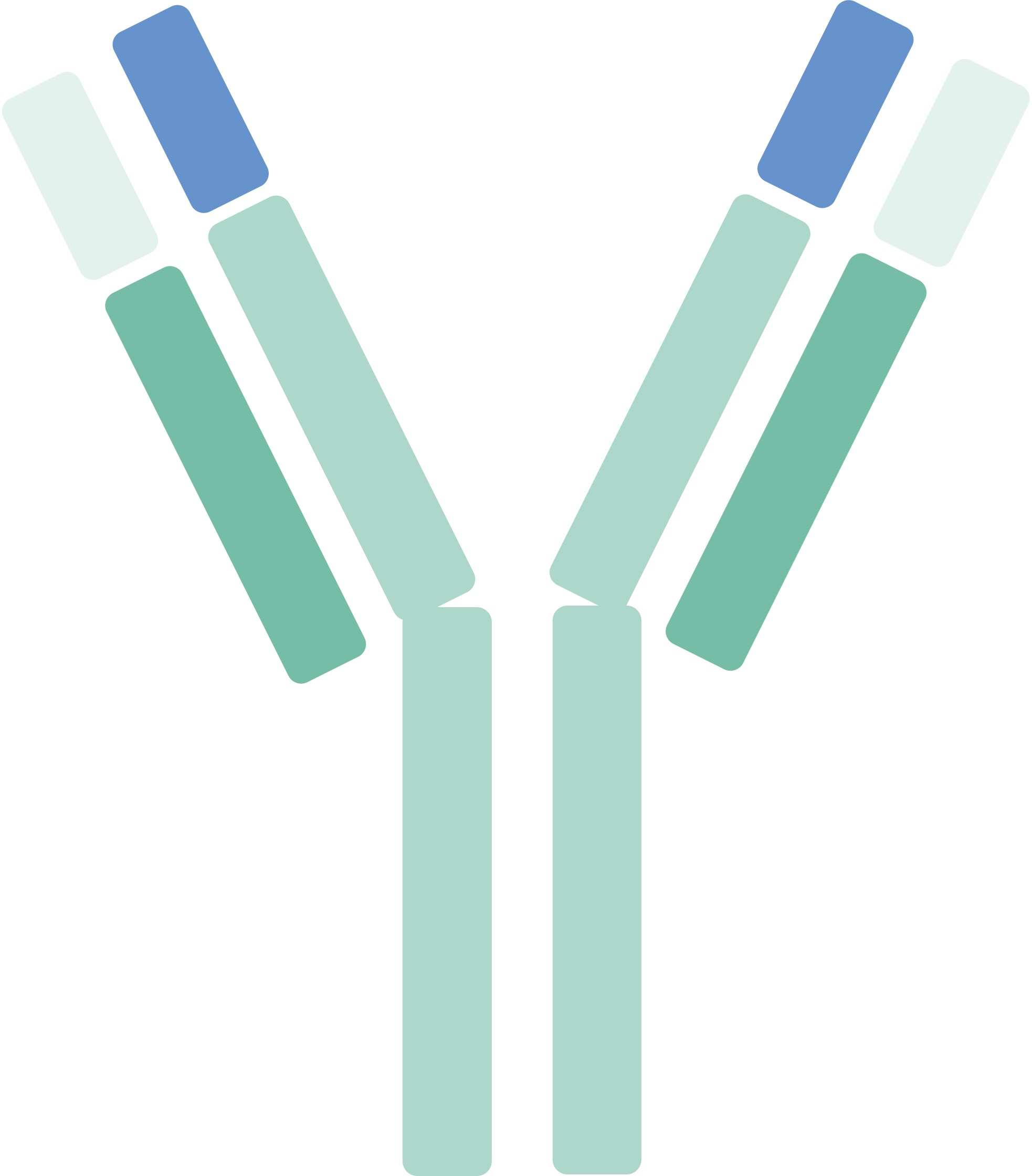 Pet CD25 Therapeutic Antibodies. (Creative Biolabs Original)