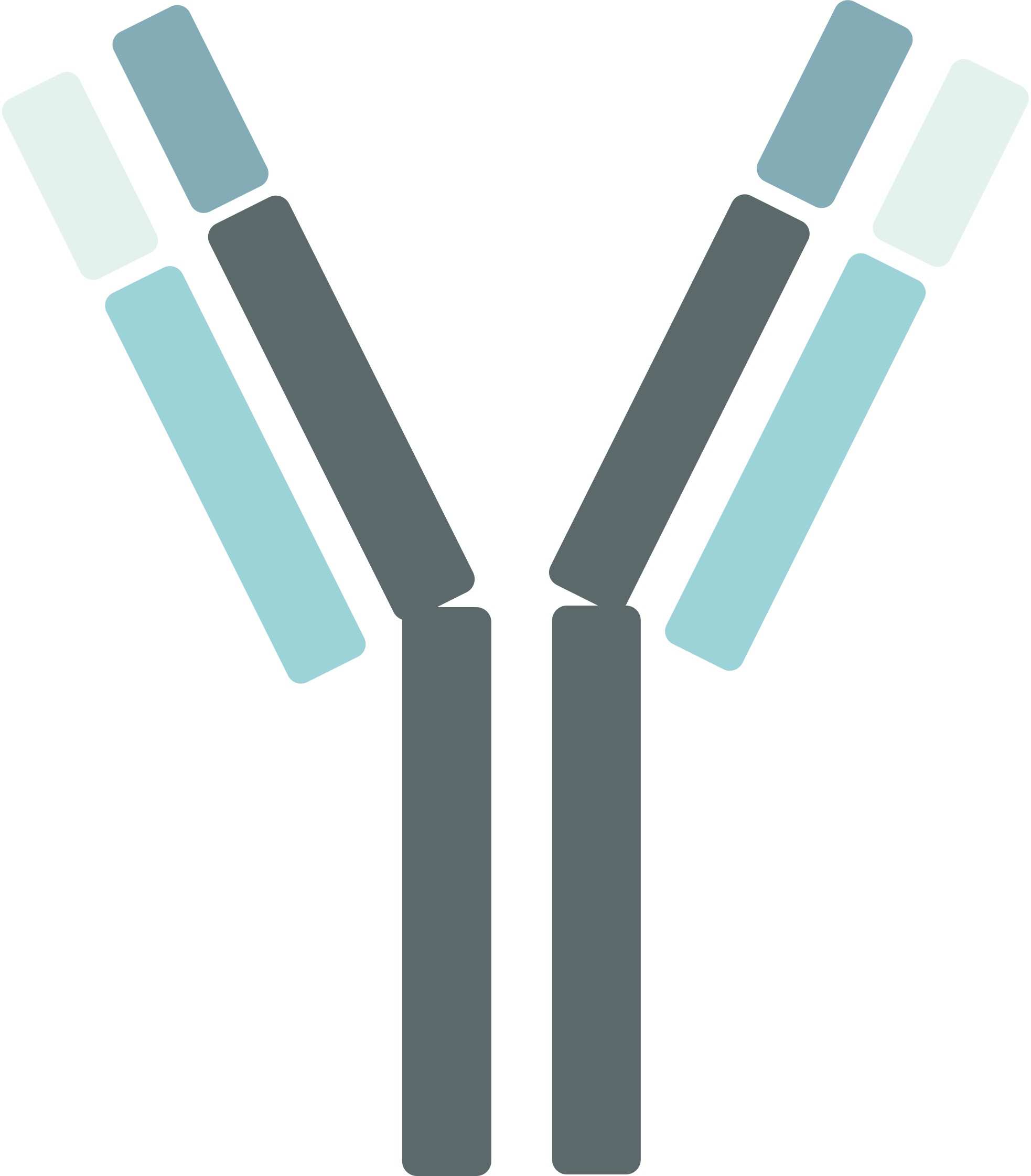 Pet CD20 Therapeutic Antibodies. (Creative Biolabs Original)