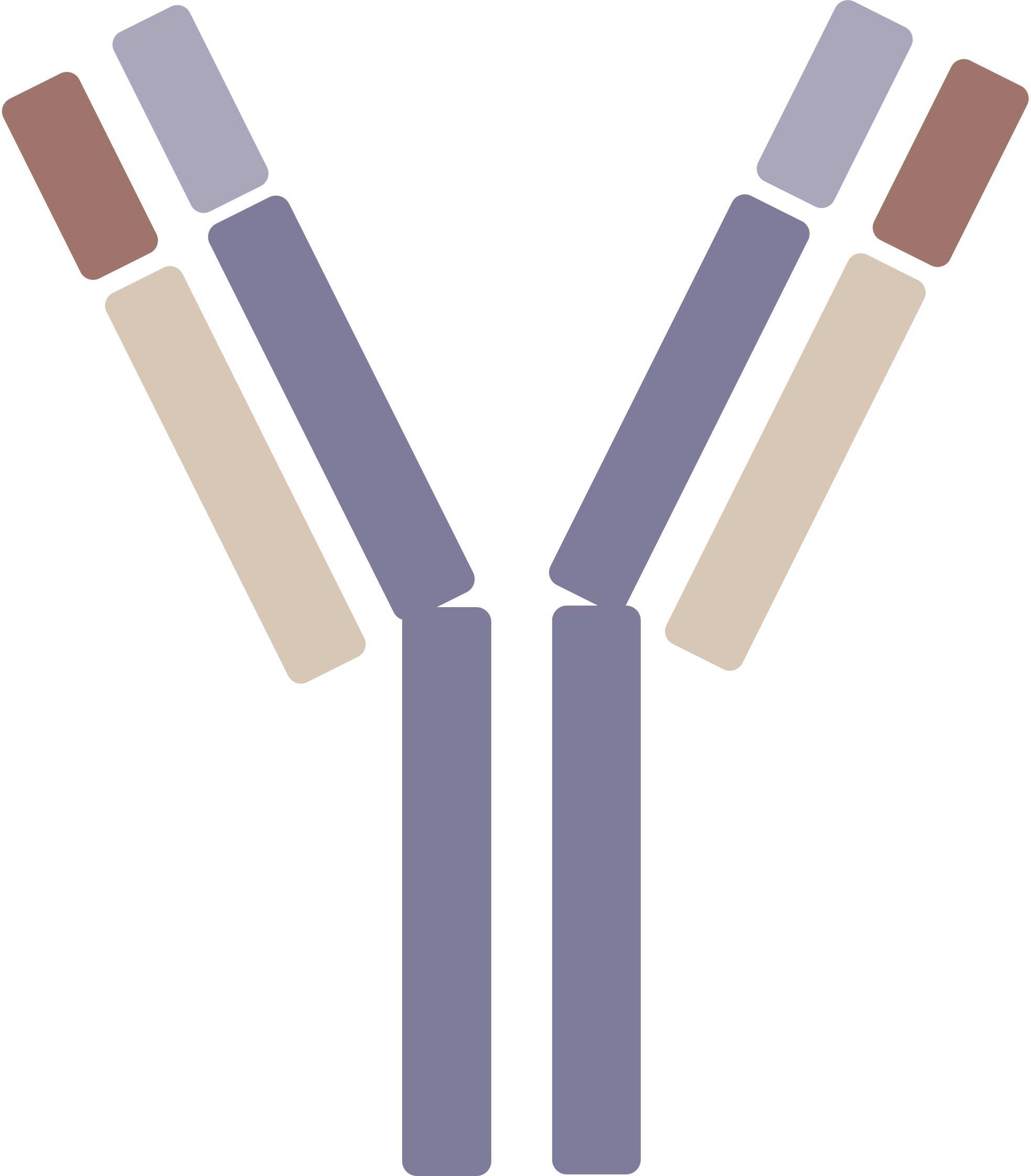 Pet CCR4 Therapeutic Antibodies. (Creative Biolabs Original)