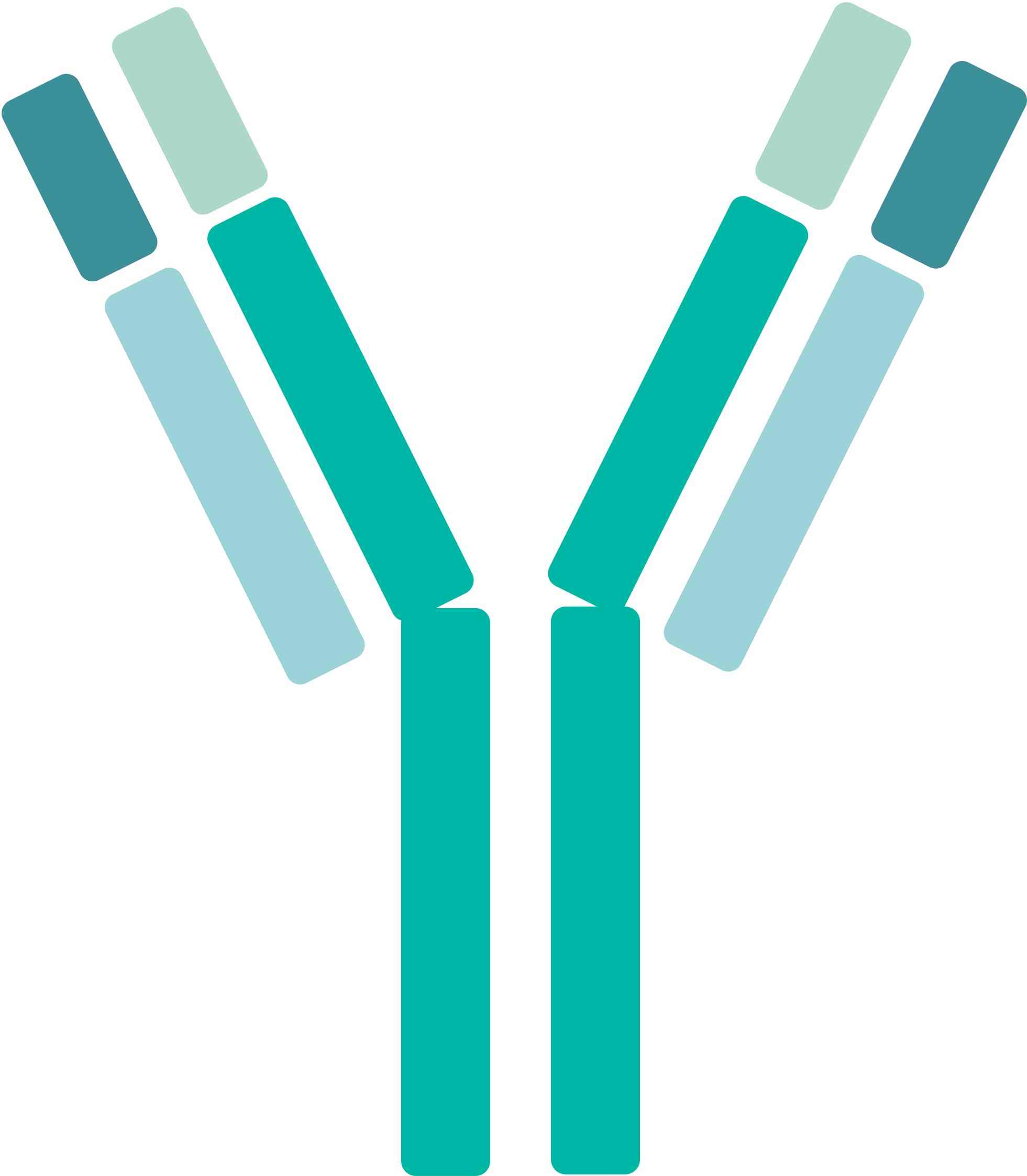 Pet TNF-β Therapeutic Antibodies. (Creative Biolabs Original)