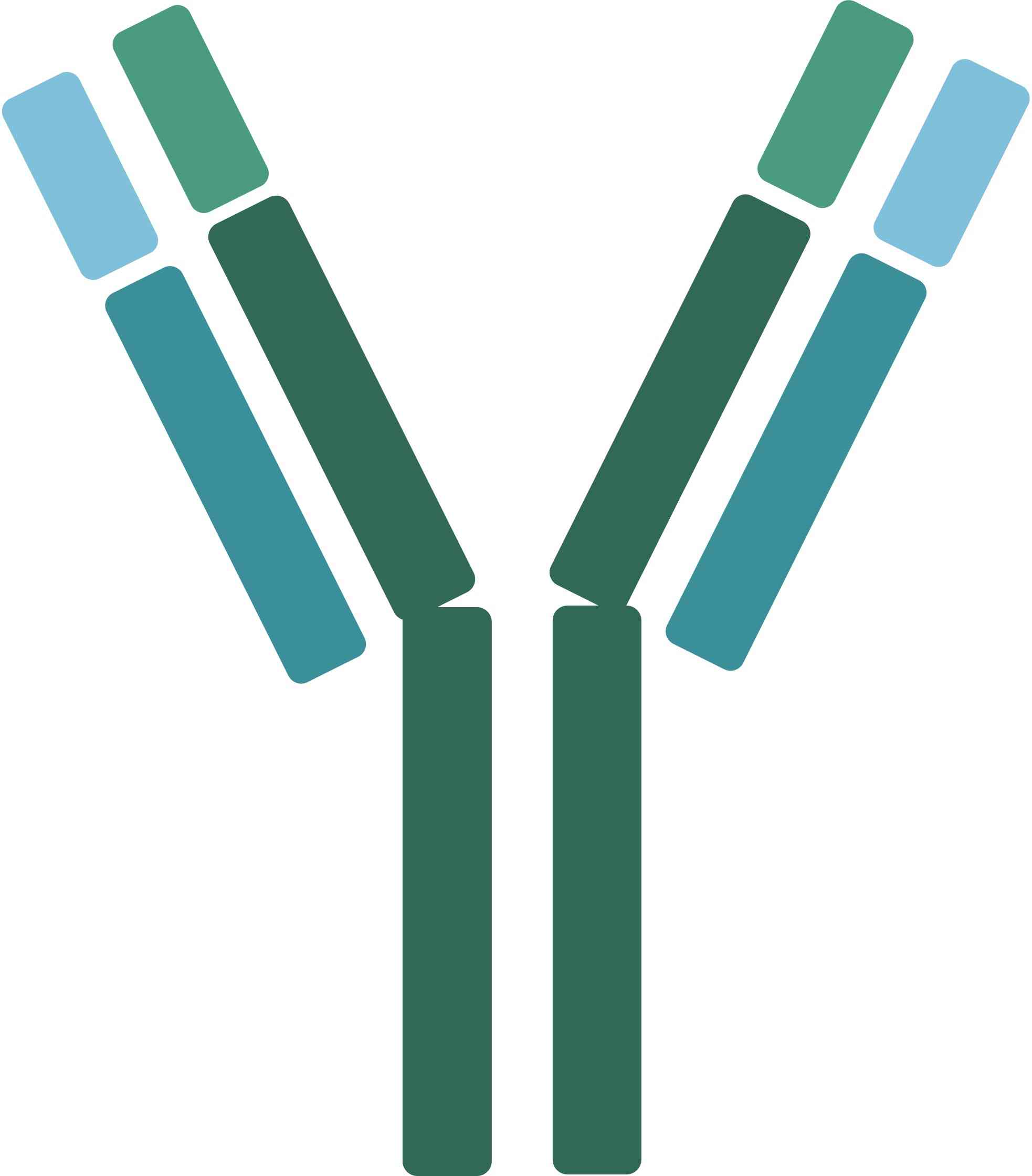 Canine CD3 / TCR Therapeutic Antibodies. (Creative Biolabs Original)