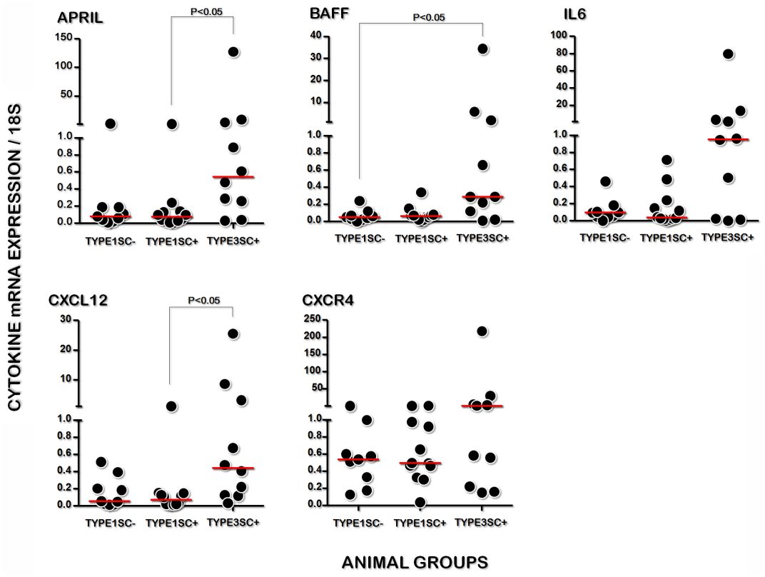 Gene expression of APRIL BAFF in the spleens of dogs. (Silva-O'Hare, et al., 2016) (OA Literature)