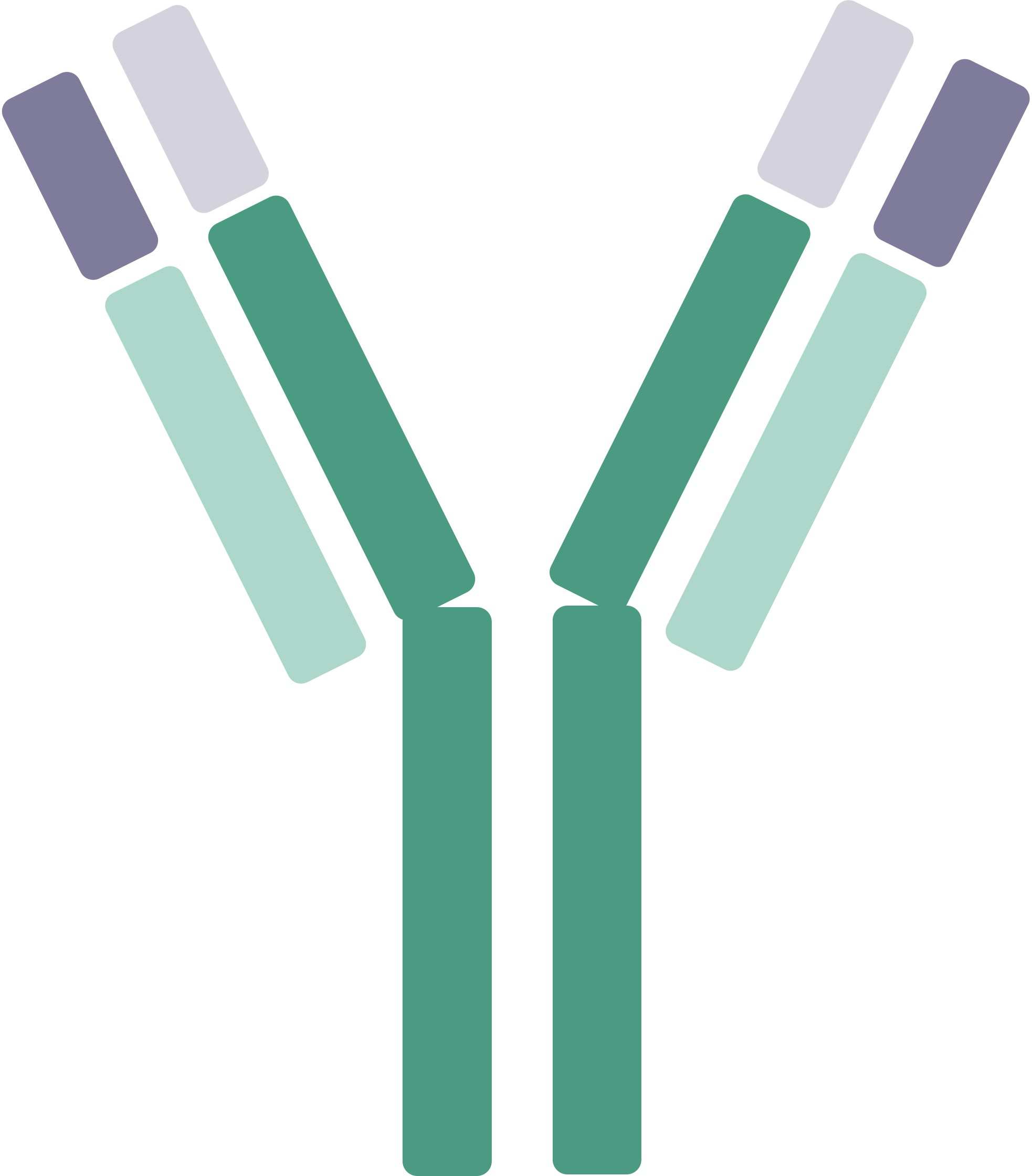 Canine Parvovirus Therapeutic Antibodies. (Creative Biolabs Original)