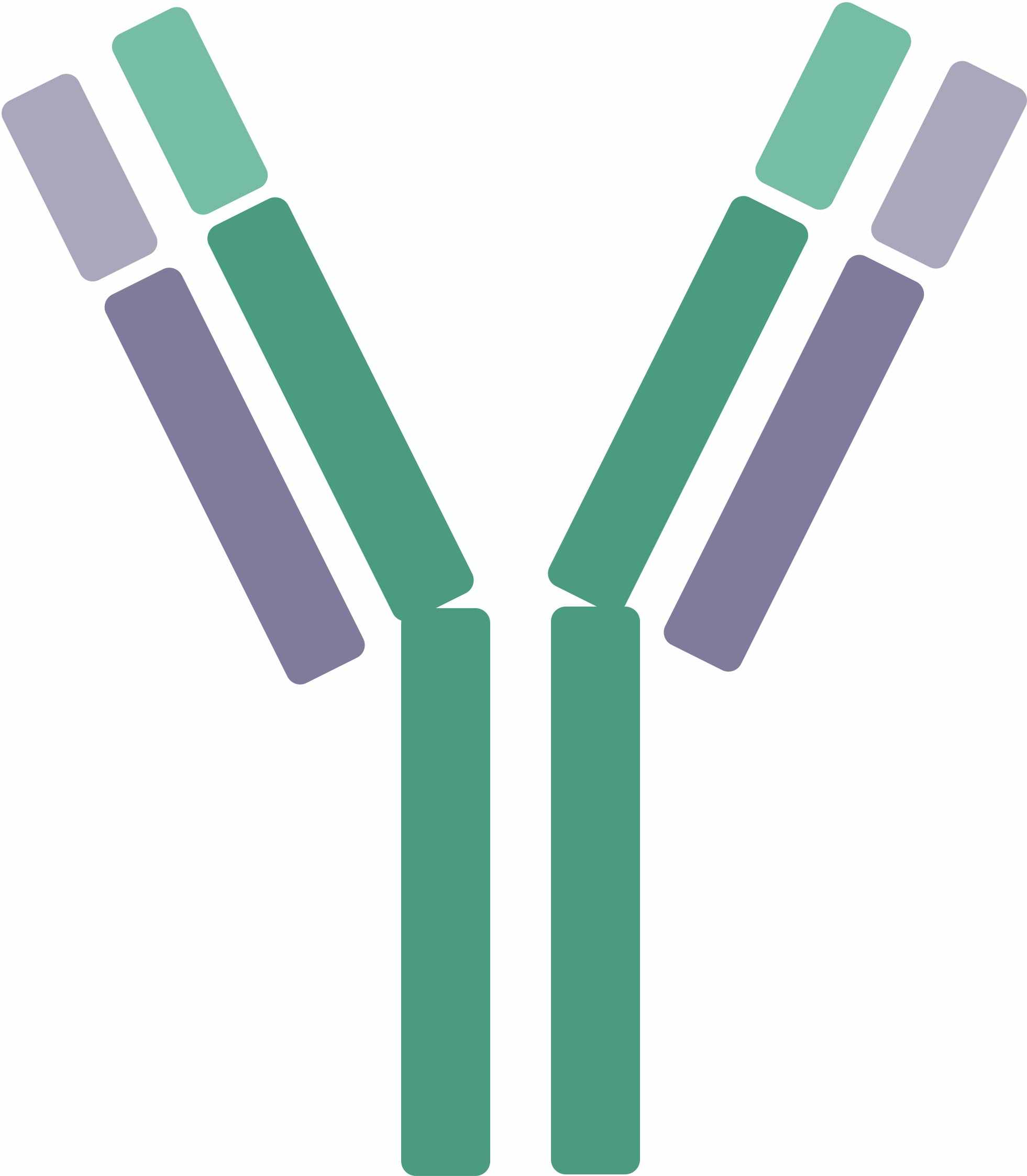 Pet SIRPα / CD47 Axis Therapeutic Antibodies. (Creative Biolabs Original)