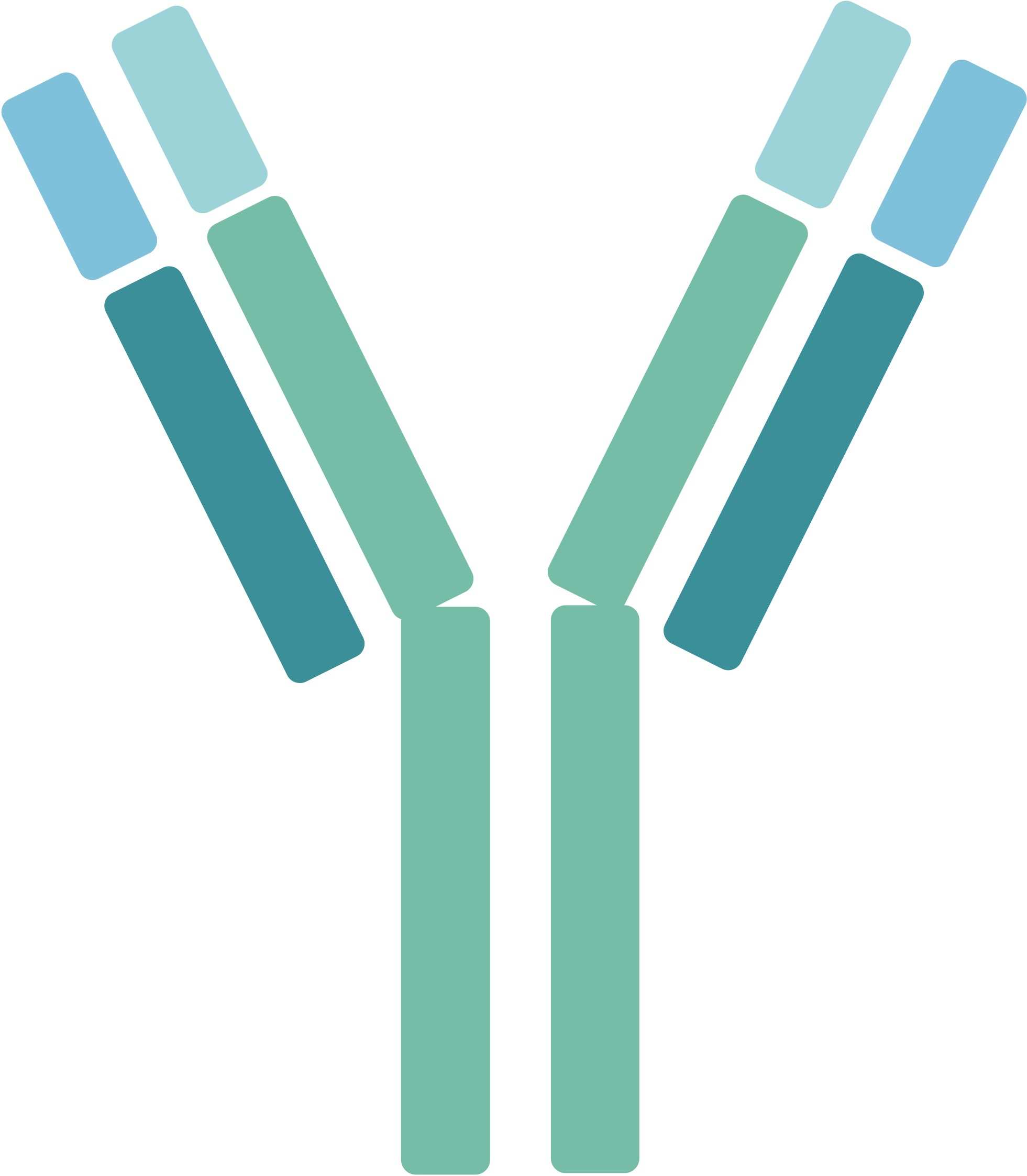 Pet RANKL Therapeutic Antibodies. (Creative Biolabs Original)