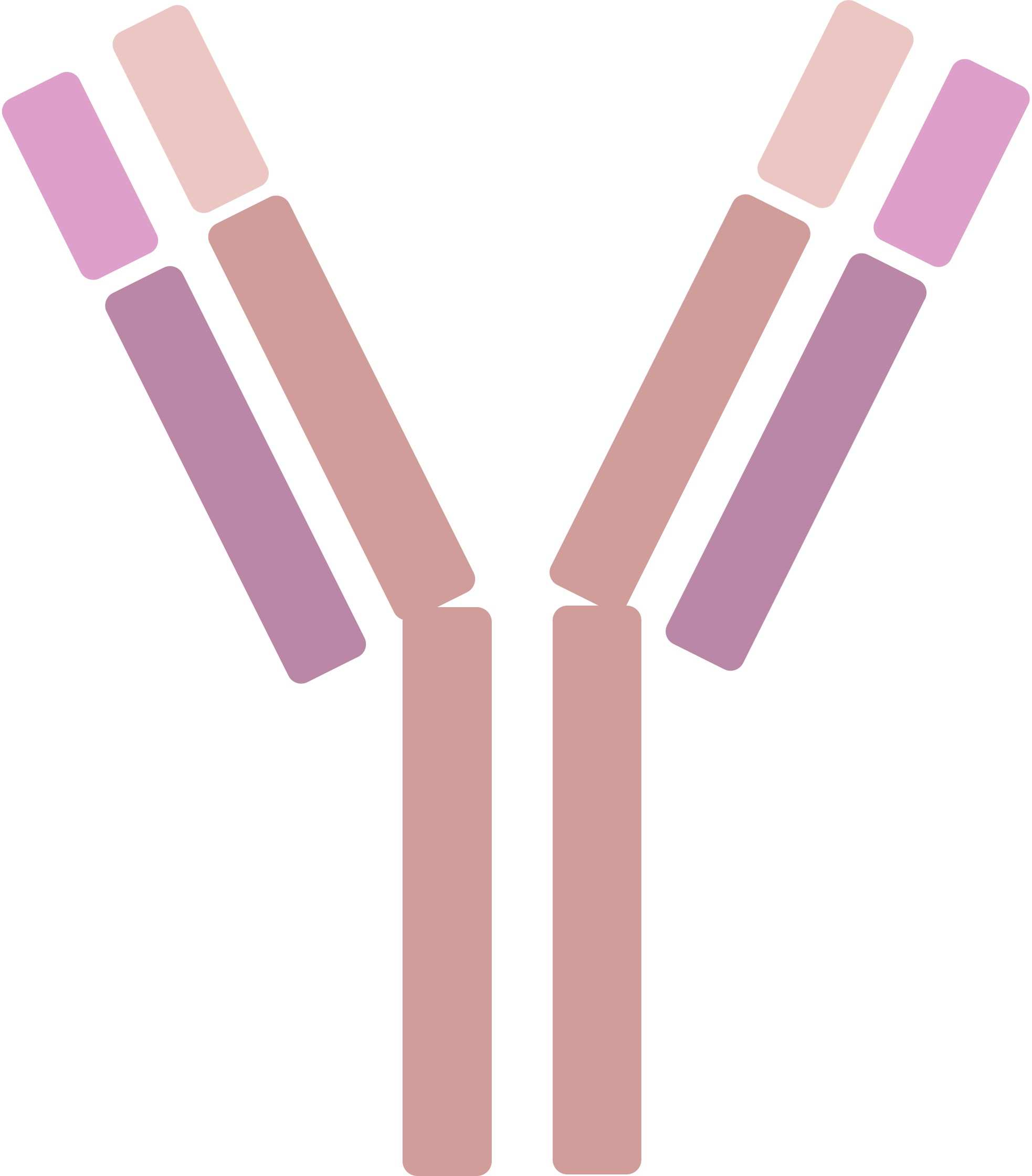Pet PD-1 / PD-L1 Therapeutic Antibodies. (Creative Biolabs Original)