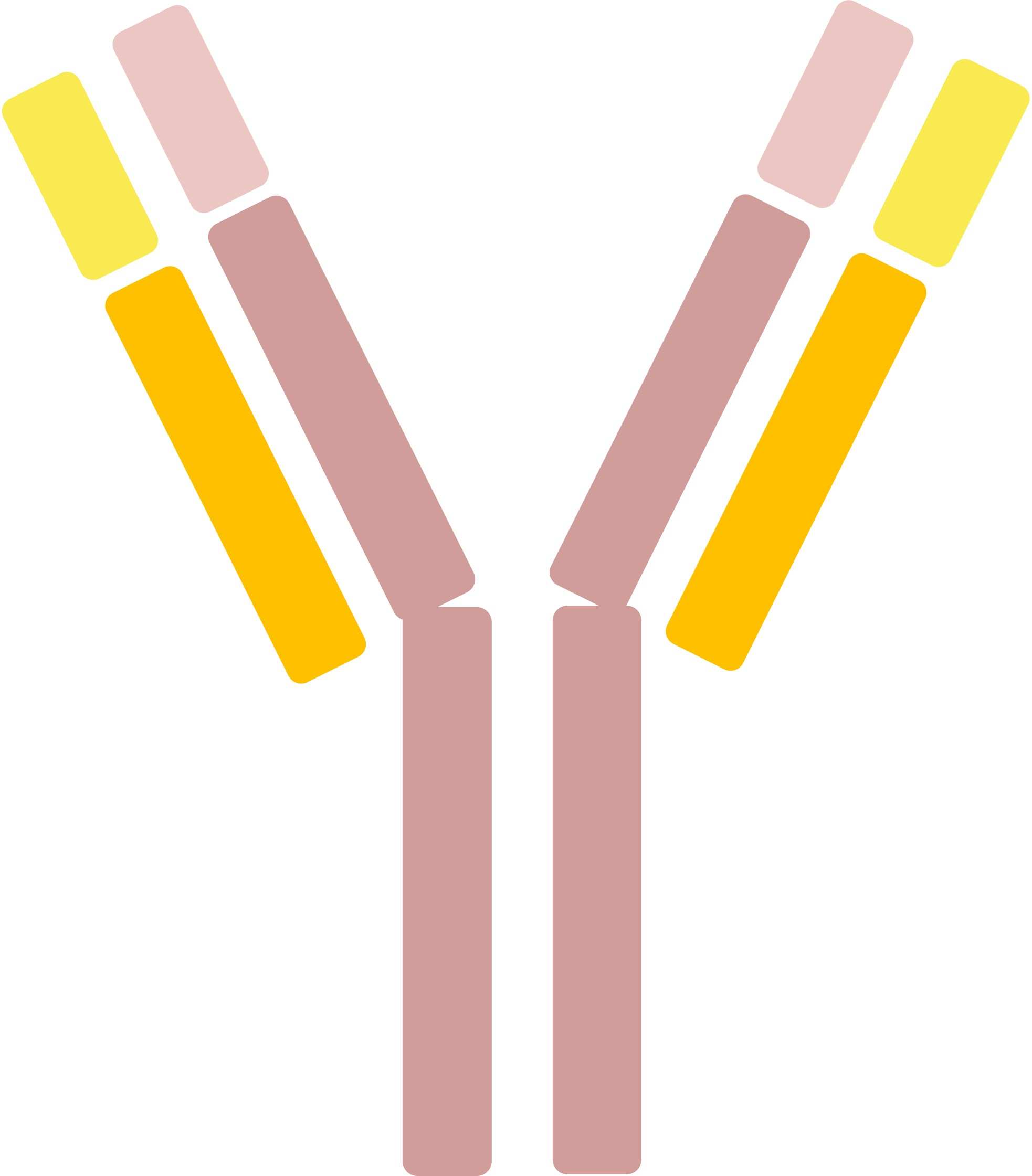 Pet NGF Therapeutic Antibodies. (Creative Biolabs Original)