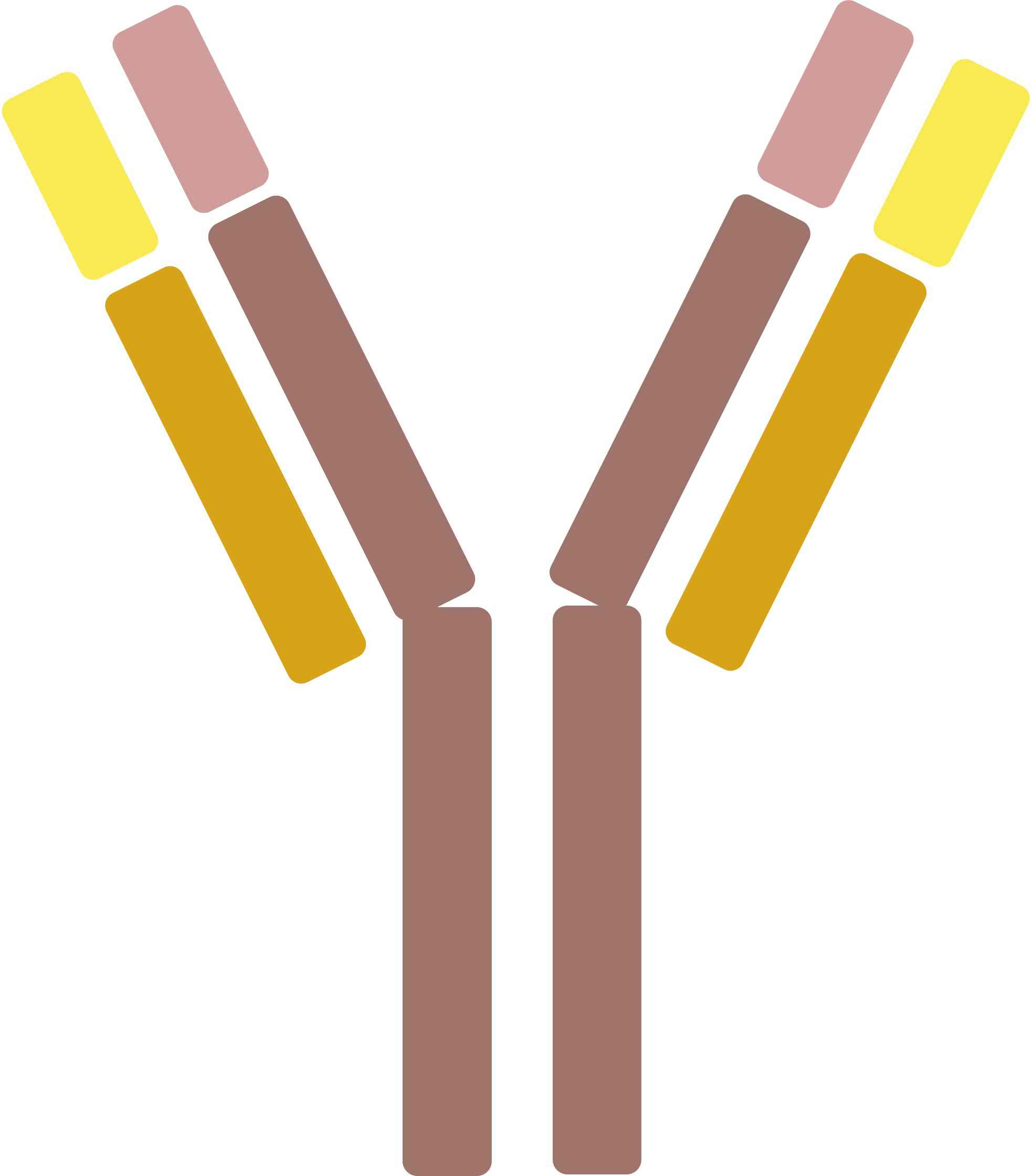 Pet JAK1 Therapeutic Antibodies. (Creative Biolabs Original)