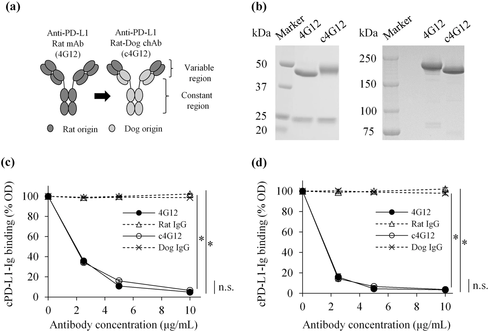 Canine chimeric anti-PD-L1 antibody construction, purification, and blockade assay results. (OA Literature)