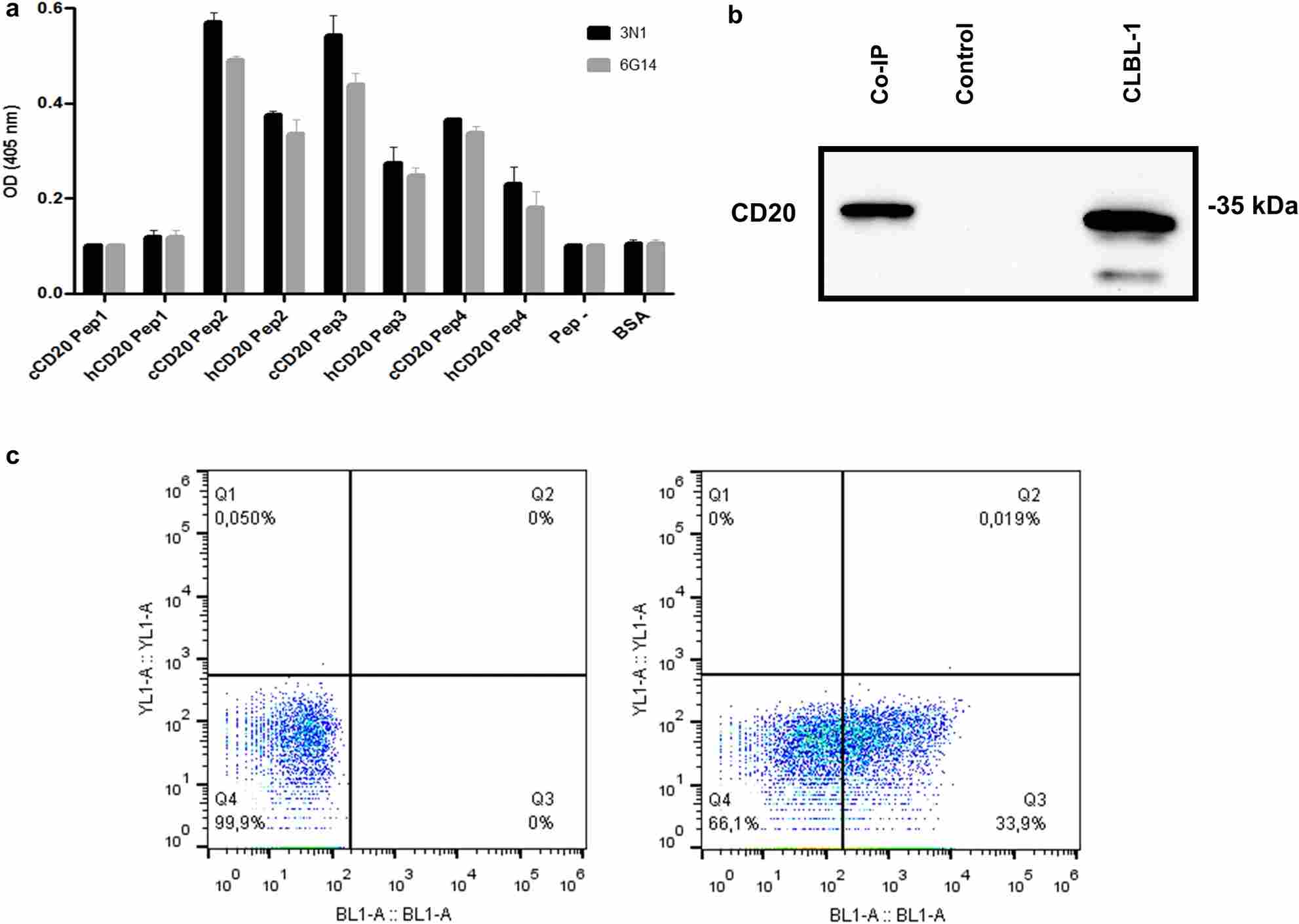 ELISA, immunoprecipitation, and live-cell flow cytometry validation of canine CD20-binding antibodies (OA Literature)