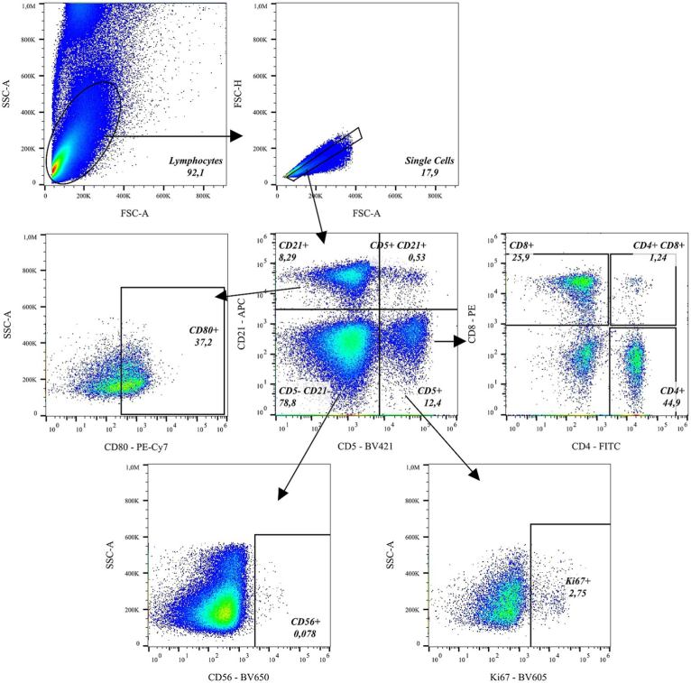 Flow cytometry gating of feline lymphocyte subsets with species-relevant antibody markers. (OA Literature)
