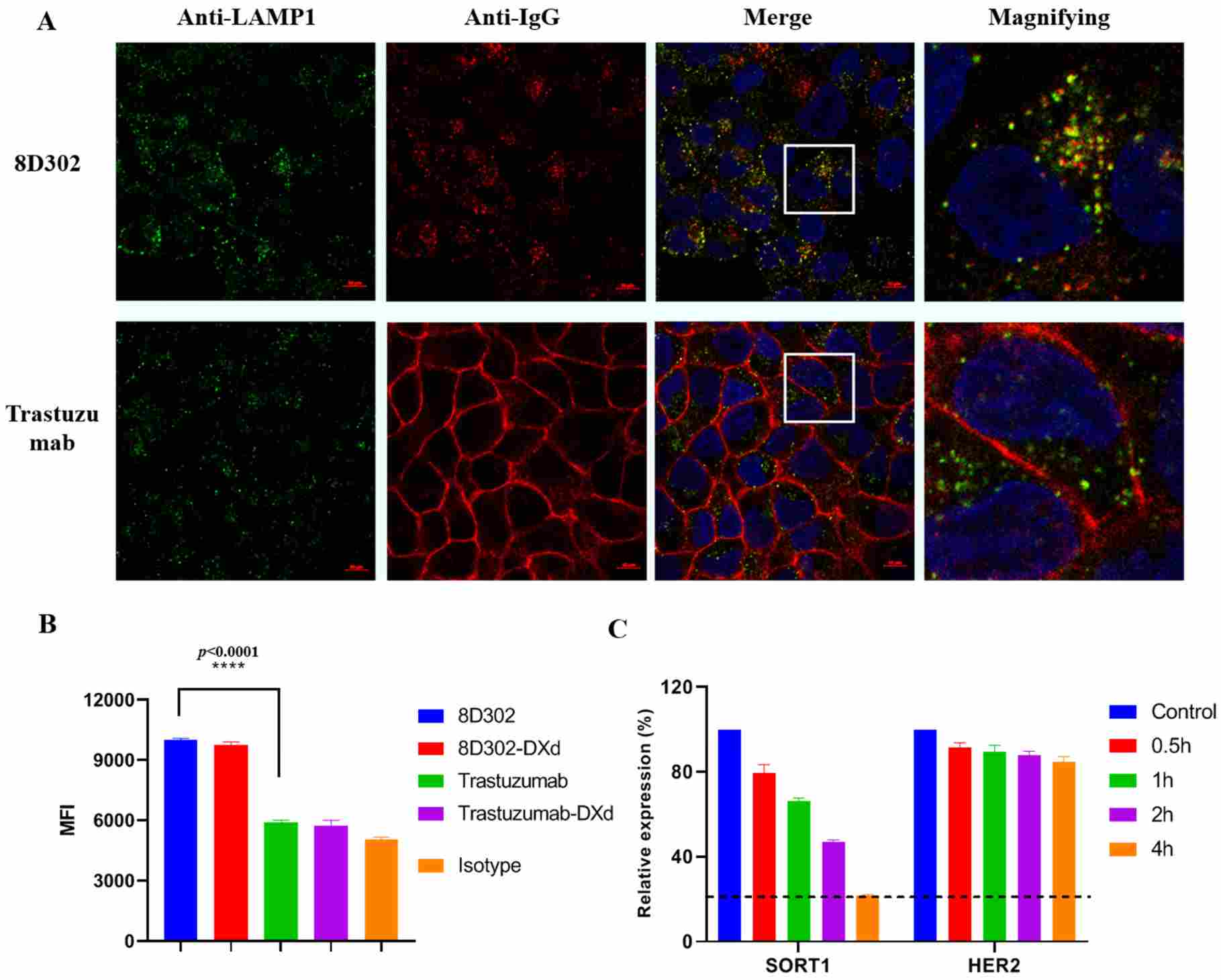 Confocal and flow-cytometry comparison of antibody uptake and lysosomal trafficking in T47D cells. (OA Literature)