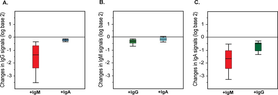 Fig.1 Chart showing Competition between serum IgG, IgA, and IgM anti-glycan antibodies (OA Literature)