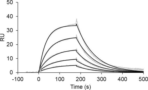 Fig 2. Chart showing kinetic analysis of the interaction between fucosylated AFP and FasMab. (OA Literature)