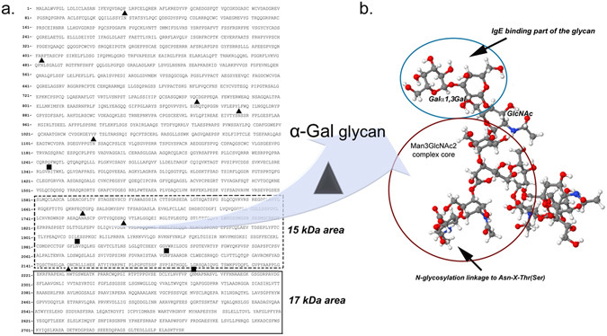 Fig 3. Peptidomics of α-Gal IgE-reactive peptides. (OA Literature)