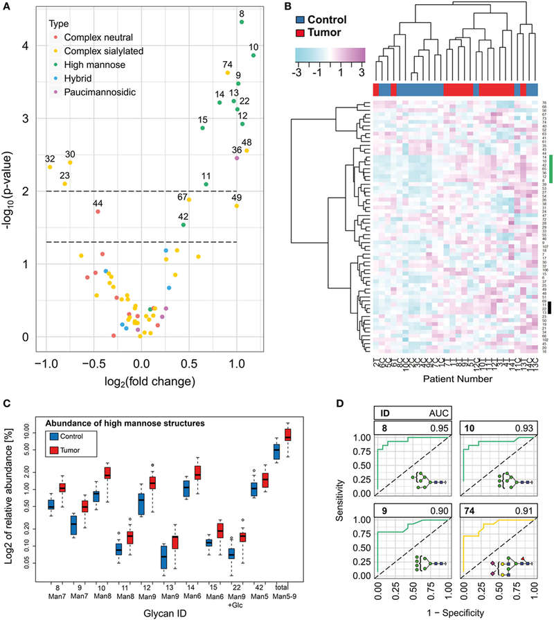 Fig 2. Schematic of N-glycan level changes in basal cell carcinoma. (OA Literature)