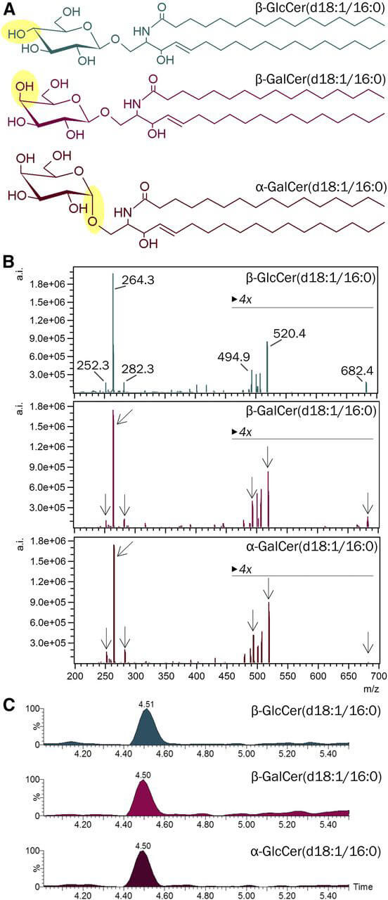 Structures and analytical context for diastereomer-specific GlcCer and GalCer quantification (OA Literature)
