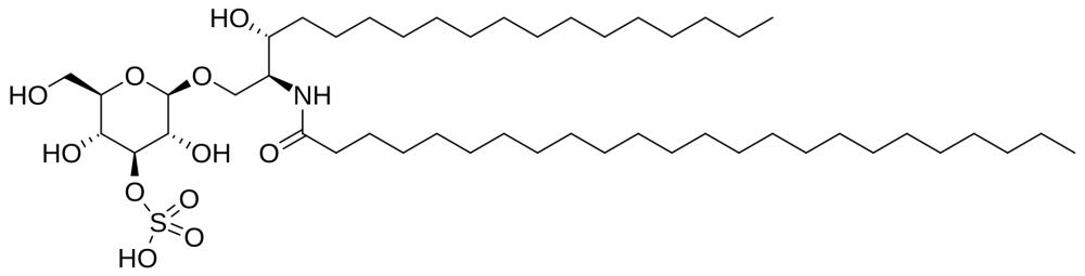 Fig.1 The structure of a sulfatide. (Creative Biolabs Authorized)