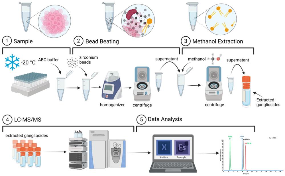 Fig.2 Published LC-MS workflow for ganglioside extraction, sample preparation, and data analysis. (OA Literature)