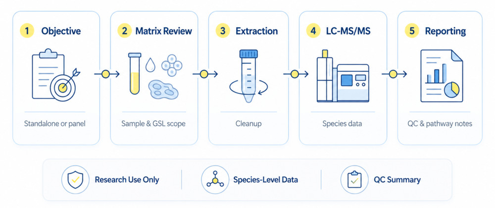 Fig.2 Lactosylceramide profiling workflow overview. (Creative Biolabs Original)