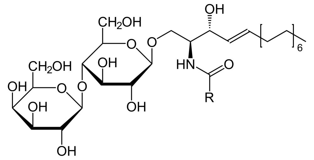 Fig.1 Lactosylceramide structure. (Creative Biolabs Authorized)