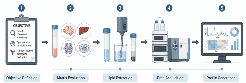 Fig.1 The schematic of the high-throughput hexosylceramide profiling analytical workflow overview. (Creative Biolabs Original)