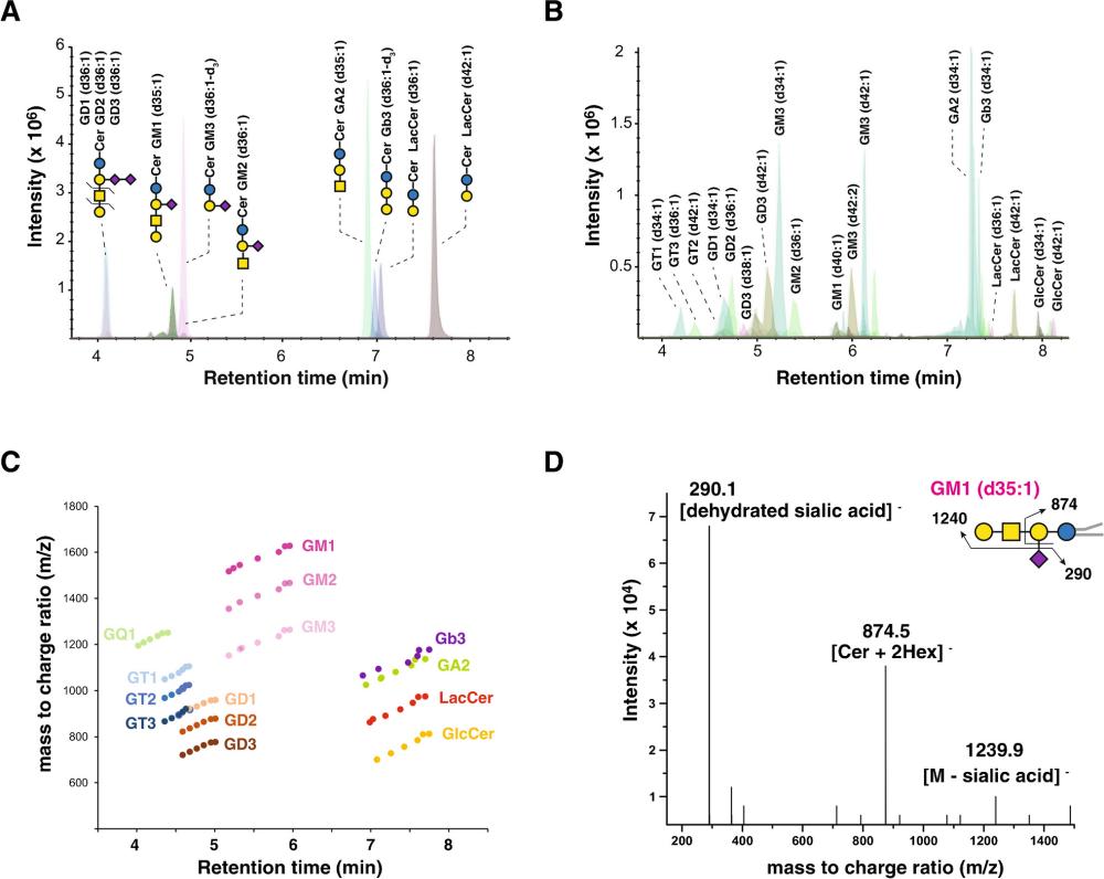 Fig.3 Multiplexed LC-MS/MS detection of gangliosides and glycosphingolipids. (OA Literature)
