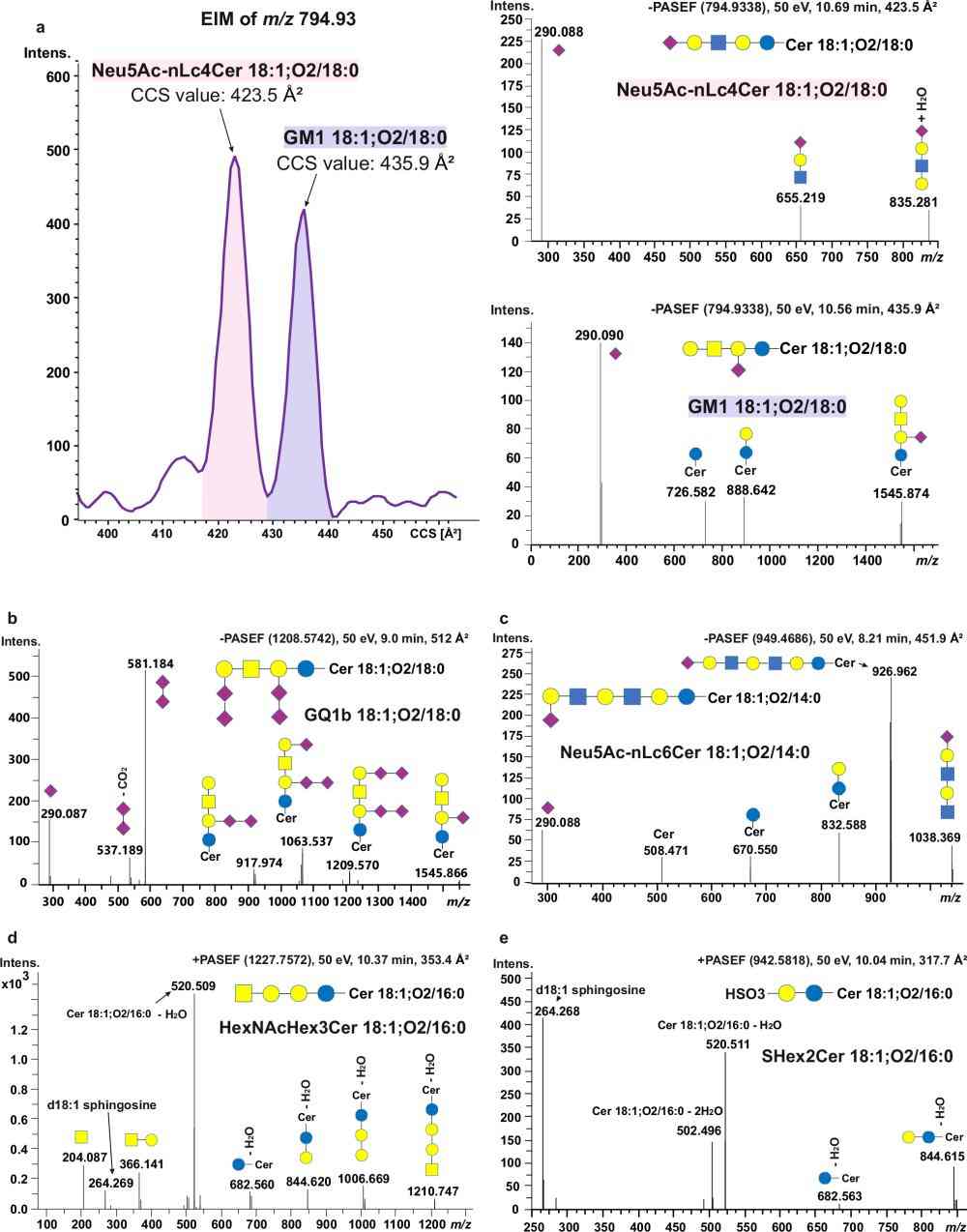 Fig.3 Representative MS/MS spectra of glycosphingolipids in human serum reported in a multidimensional LC-TIMS-MS workflow. (OA Literature)