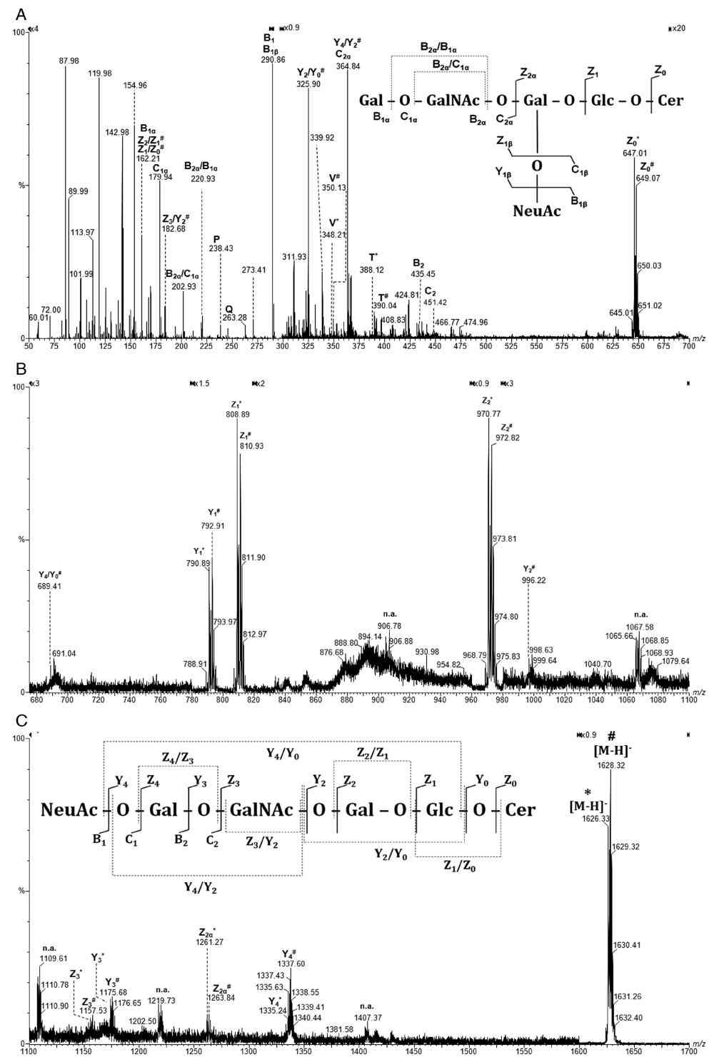 Fig.3 Mass spectrometry of the native ganglioside mixture extracted from brain metastasis. (OA Literature)