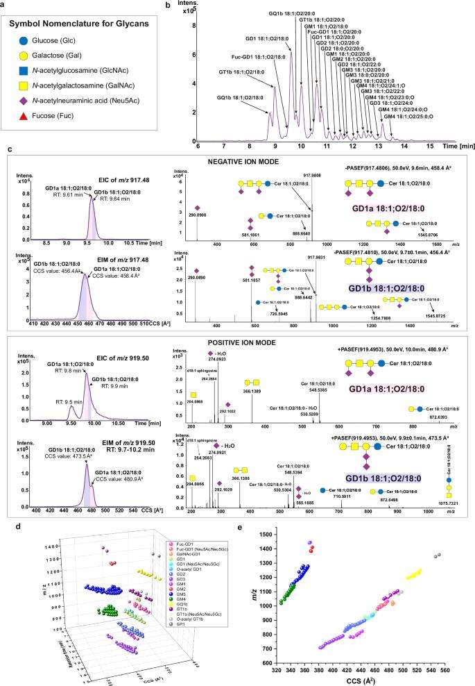 Fig.3 4D RP-LC TIMS-PASEF workflow for glycosphingolipid profiling using retention time CCS m z and MS/MS spectra. (OA Literature)