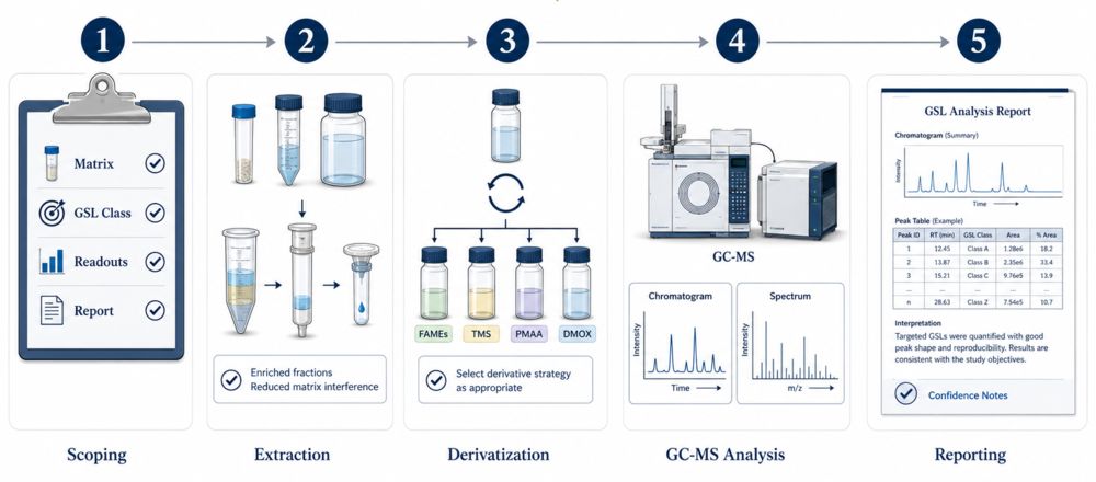 Fig.2 Workflow for derivative-based glycosphingolipid component analysis by GC-MS. (Creative Biolabs Original)