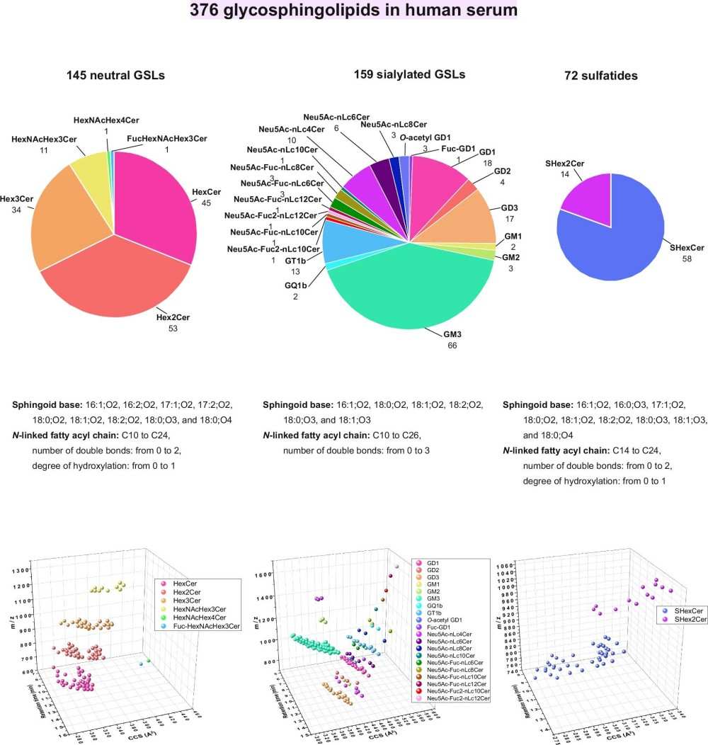 Fig.3 Human serum glycosphingolipidome profiling showing neutral GSLs, sialylated GSLs, and sulfatides in LC-MS-based analysis. (OA Literature)