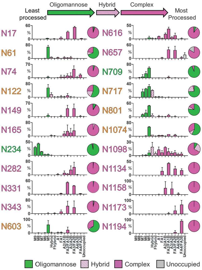 Fig.1 N-Linked Glycan Sites of the SARS-CoV-2 S-Protein. (OA Literature)