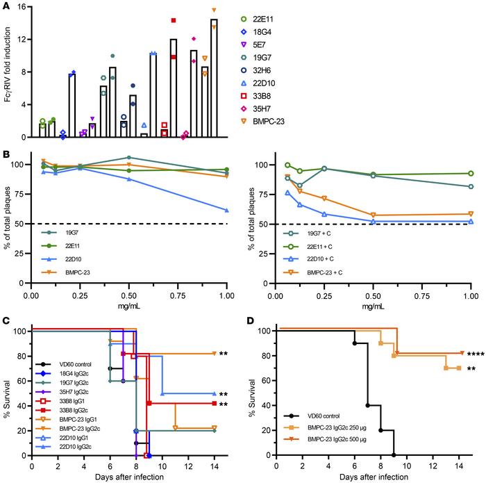 Fig.1 Survival curve demonstrating high protective efficacy of anti-HSV gB antibody via ADCC pathway in a lethal viral challenge model. (OA Literature)